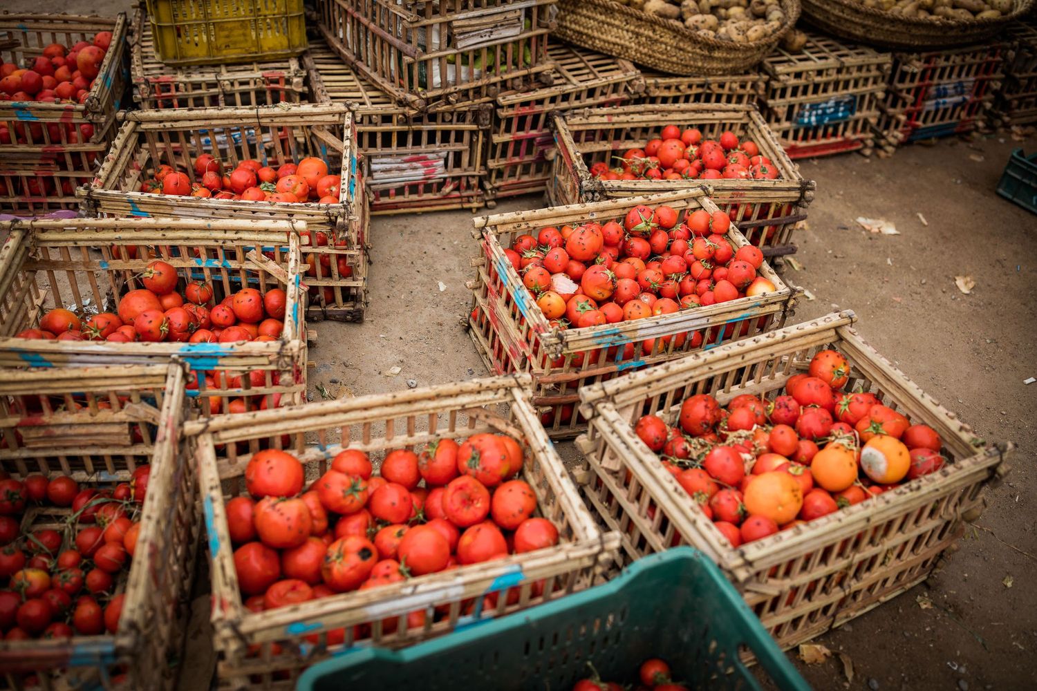 Crates filled with ripe red tomatoes stacked at a market.