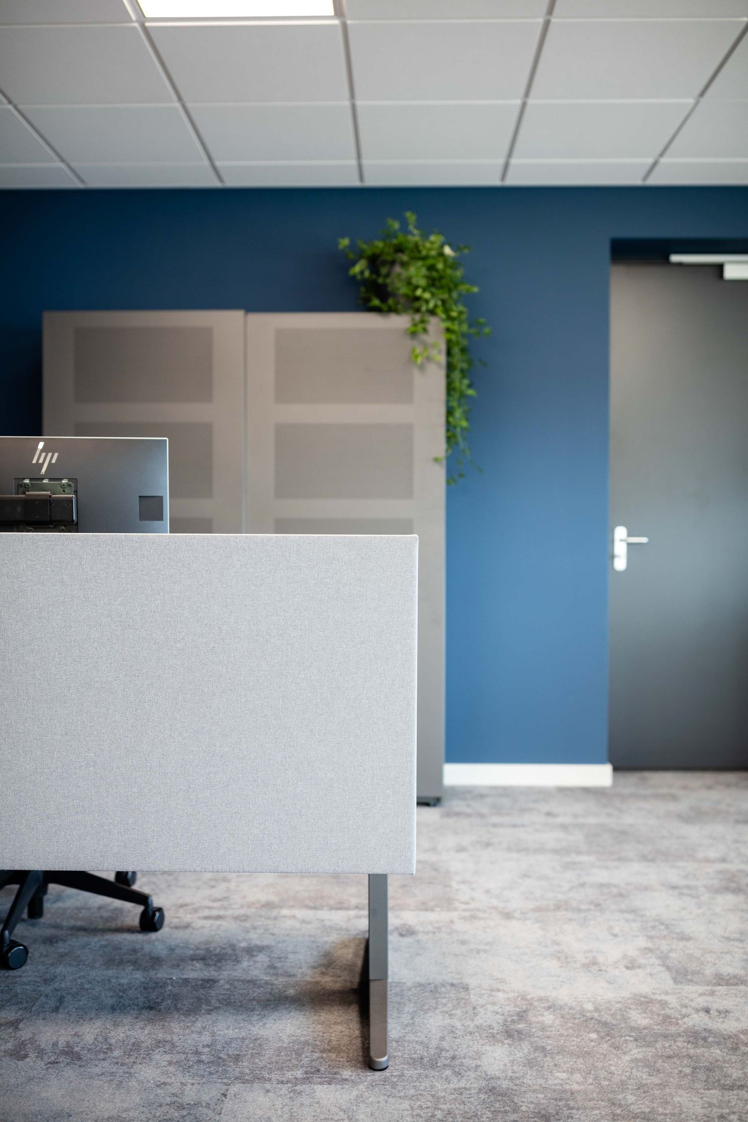 Empty office space with blue accent wall, white walls, and exposed concrete floor shows modern minimalist design.