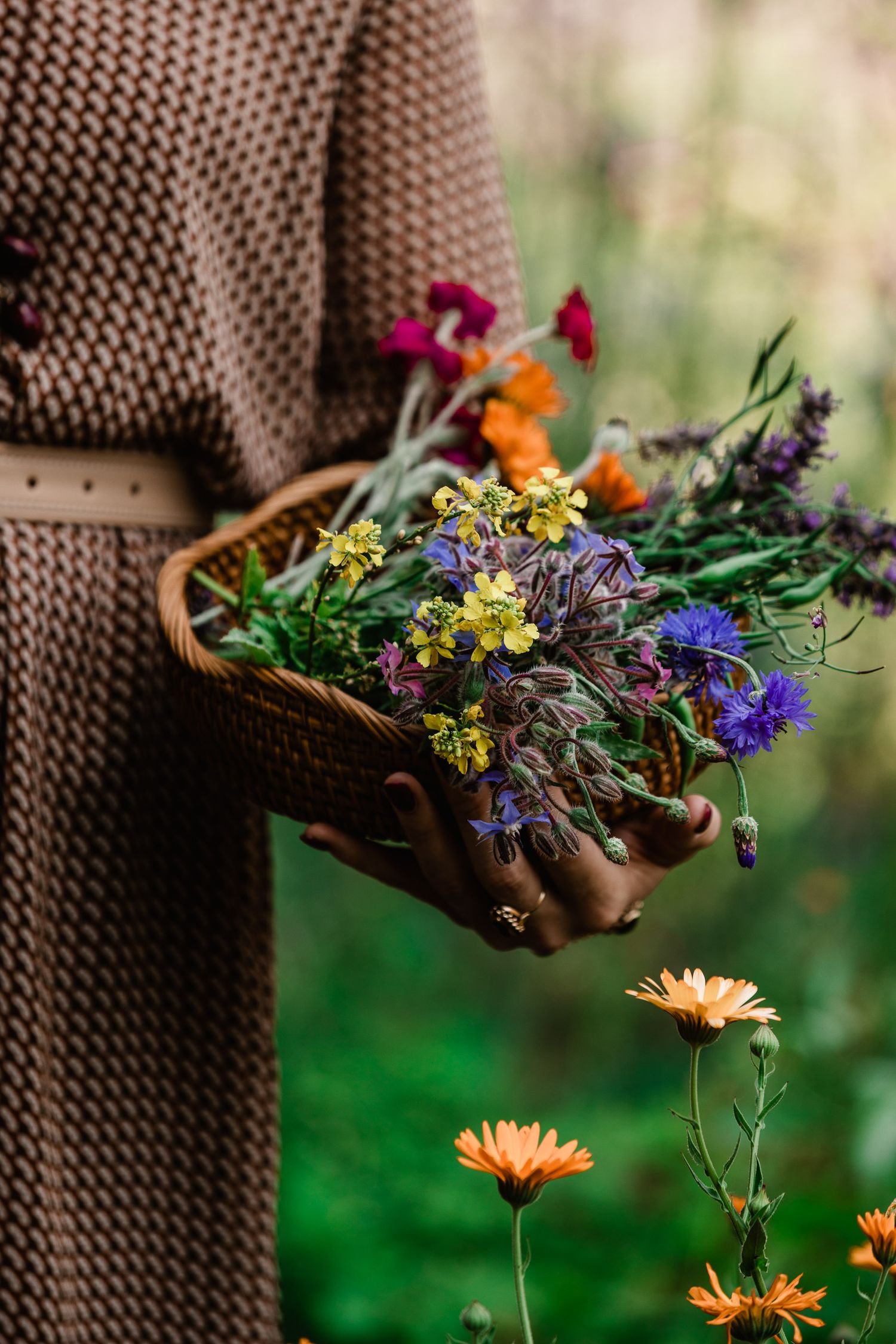 Colorful wildflowers and greenery arranged in a rustic wooden basket against a blurred natural background.