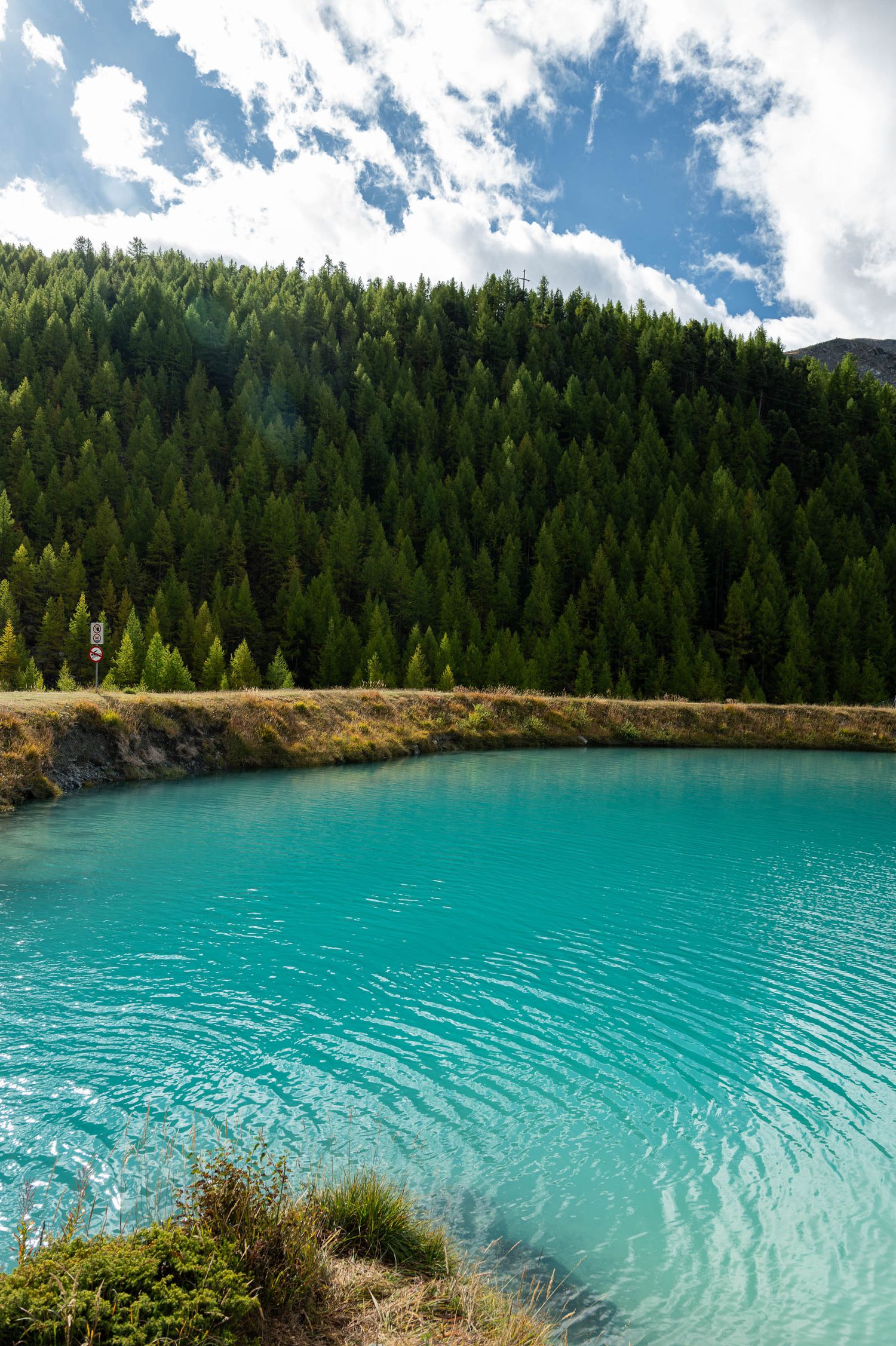 Crystal clear turquoise waters of an alpine lake bordered by dense pine forest under blue skies.