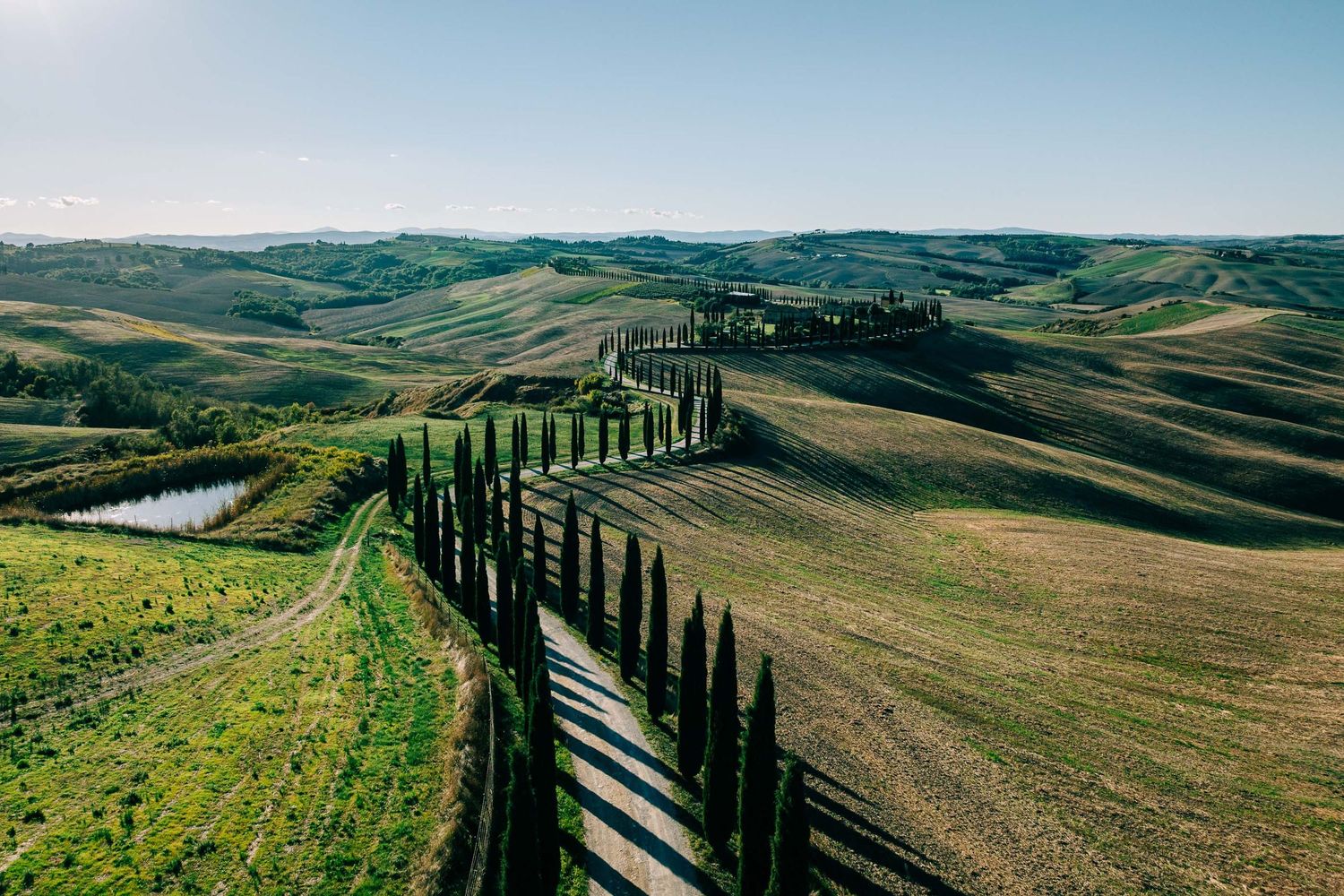 Aerial view of a cypress-lined road winding through rolling green Tuscan hills in Italy.