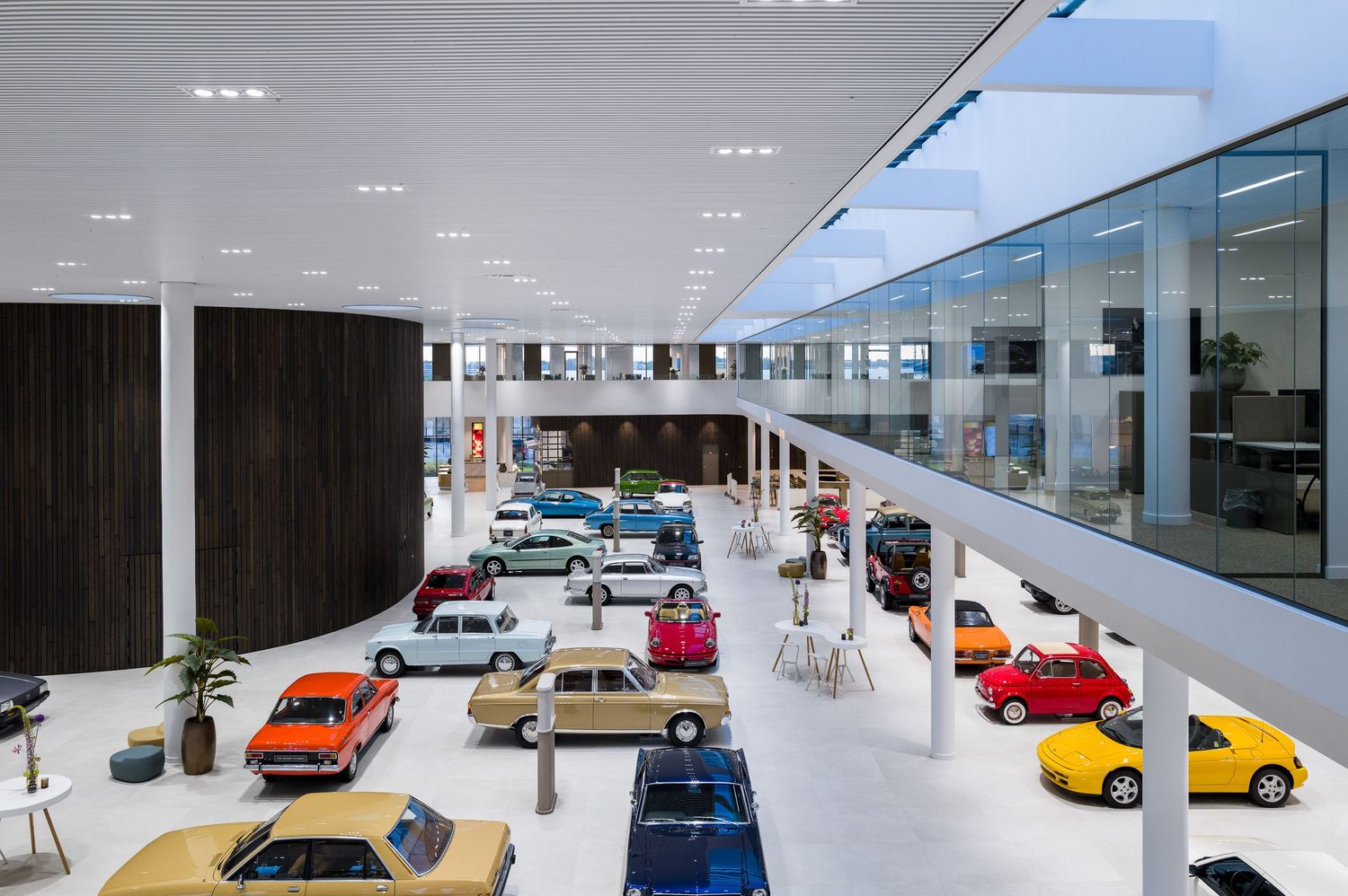 A modern automotive showroom displaying colorful vintage and classic cars in an open floor plan.