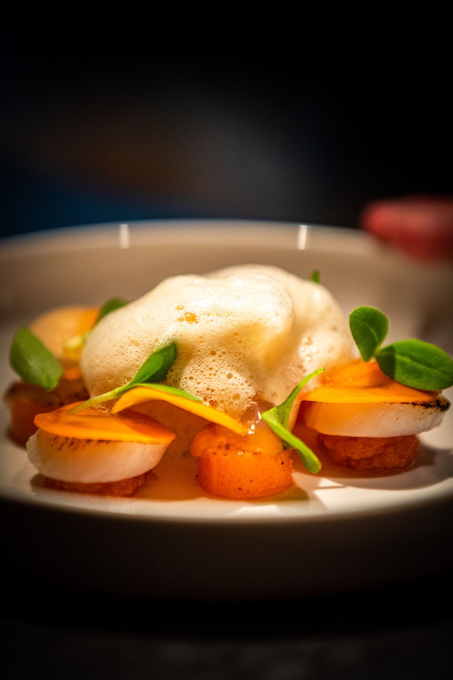 Elegantly plated dish with sliced citrus, fresh herbs and foam garnish on a white plate.