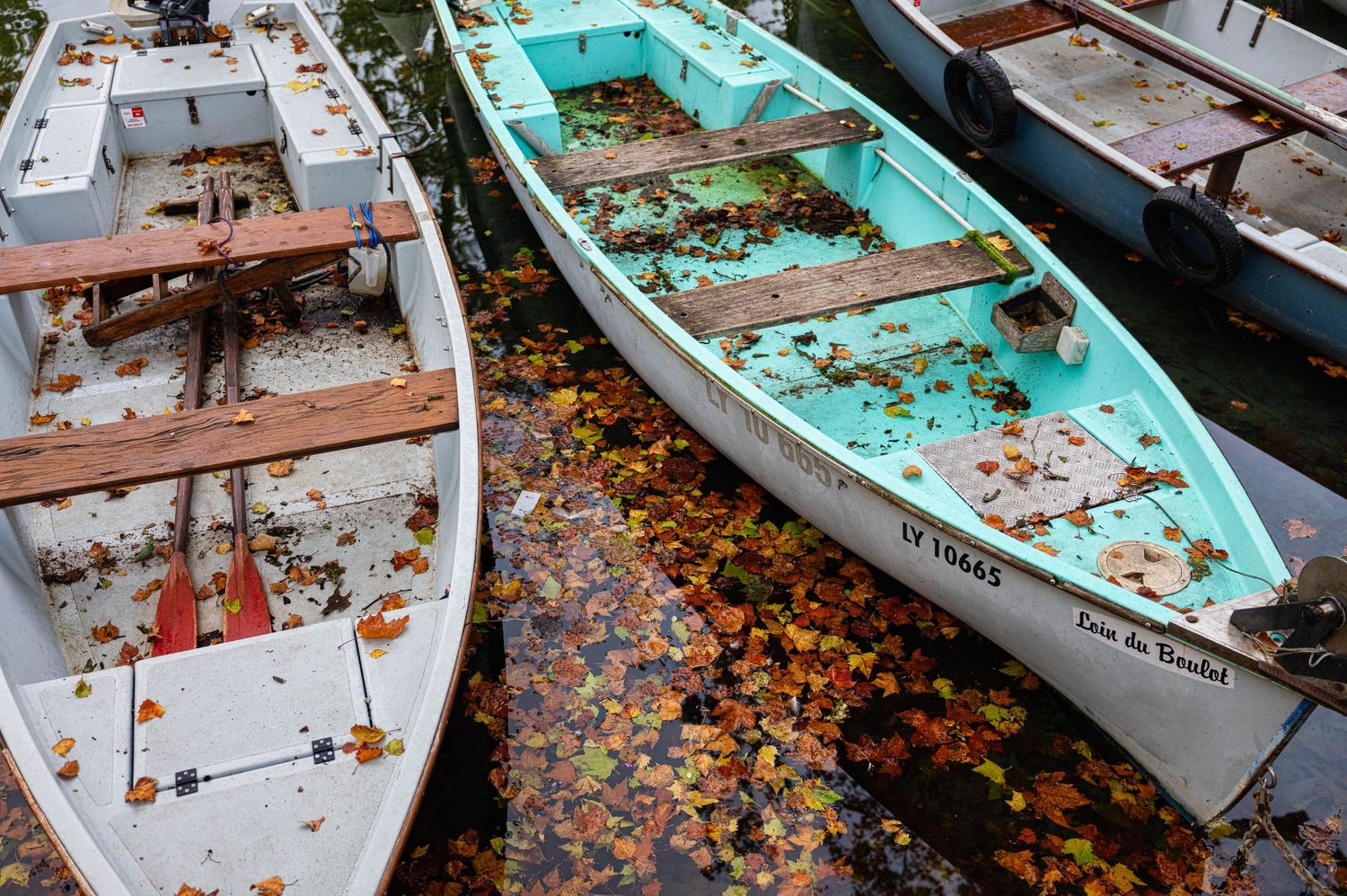 Row of weathered wooden boats covered in autumn leaves at a dock.