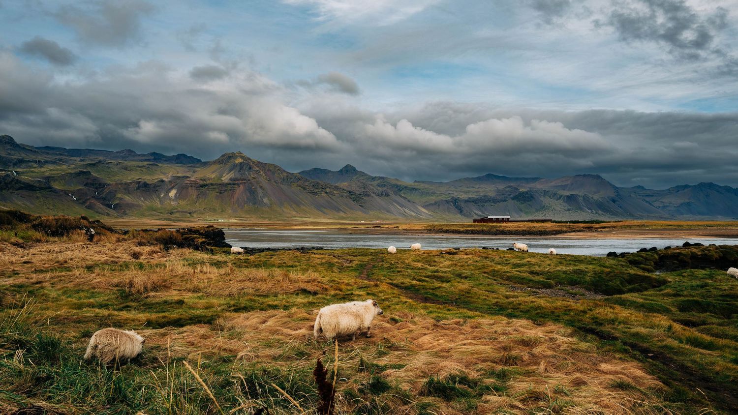 Panoramic view of rugged Scottish Highlands with rolling hills, dramatic clouds, and coastal waters stretching to the horizon.