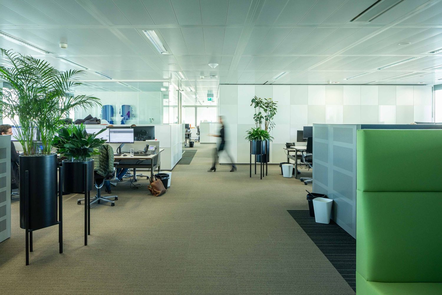 Modern office space with green partitions and white walls features long corridors and natural lighting throughout.