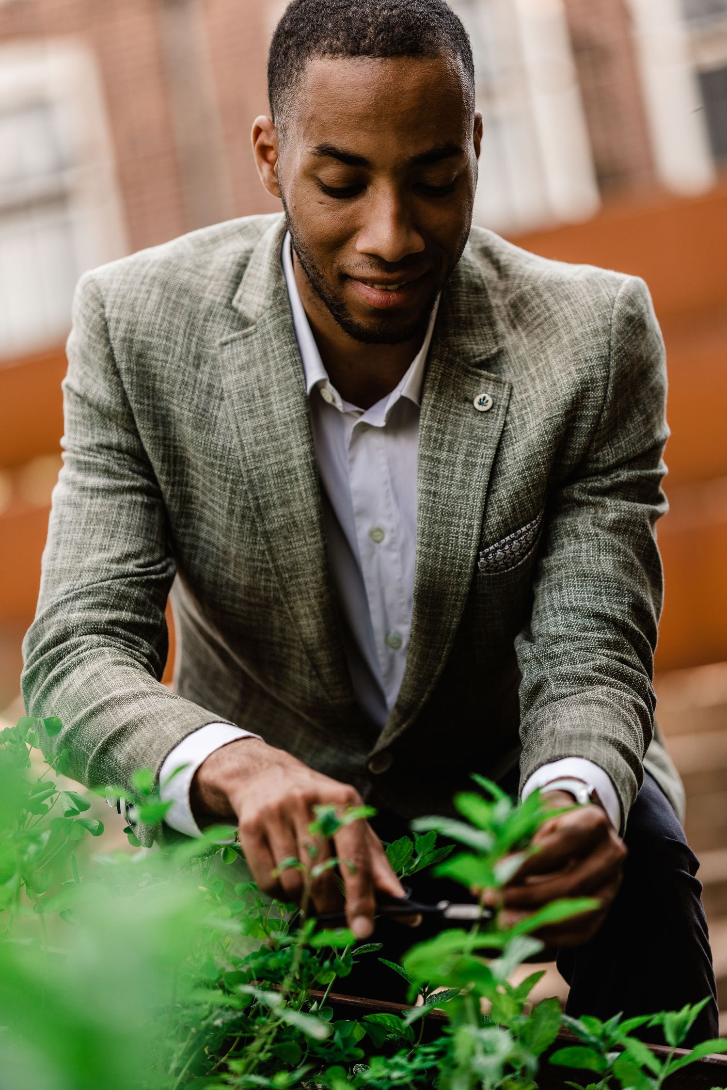 Professional in a gray plaid suit tends to plants in an urban garden setting.