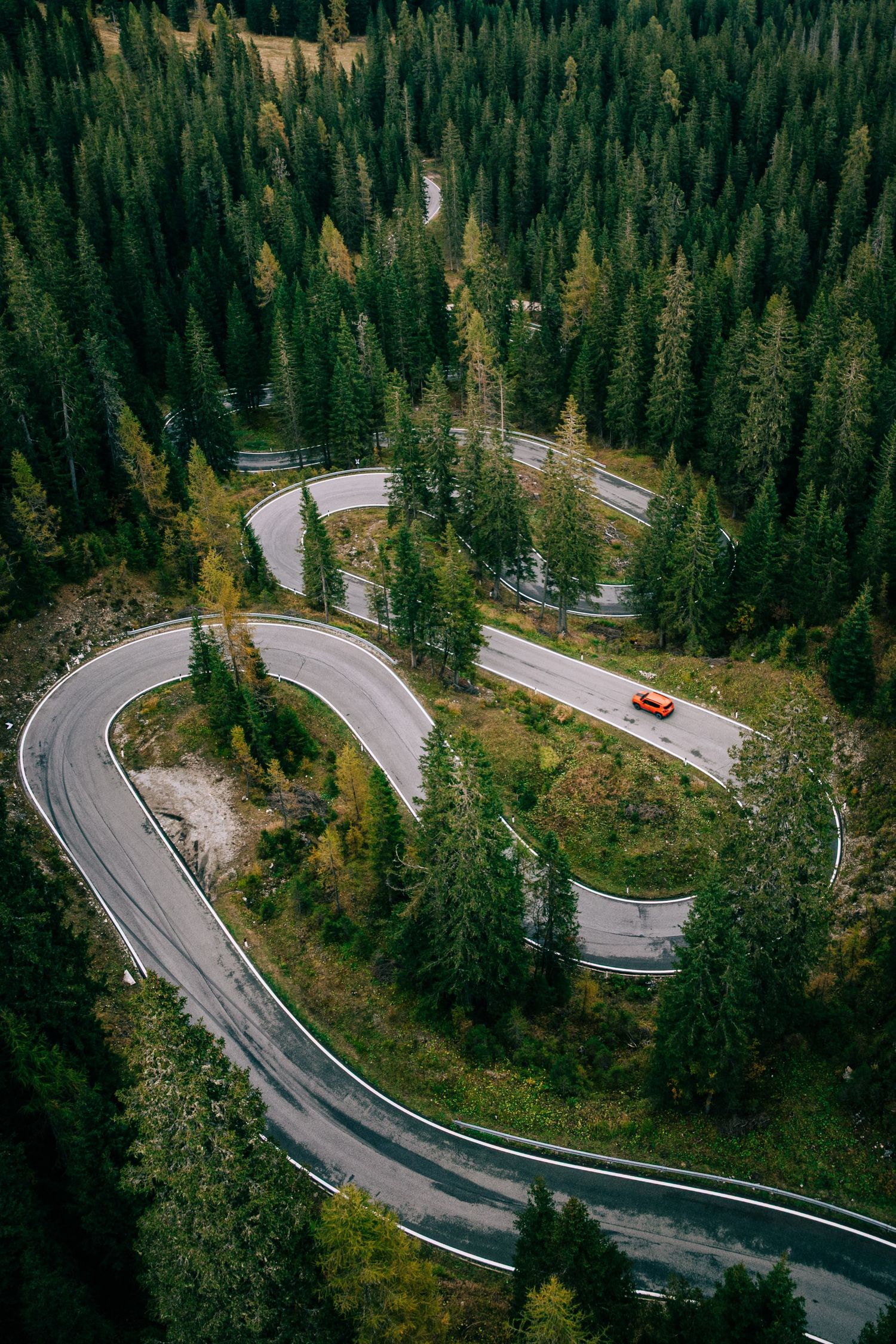 Winding mountain road curves through dense evergreen forest with scenic switchbacks.