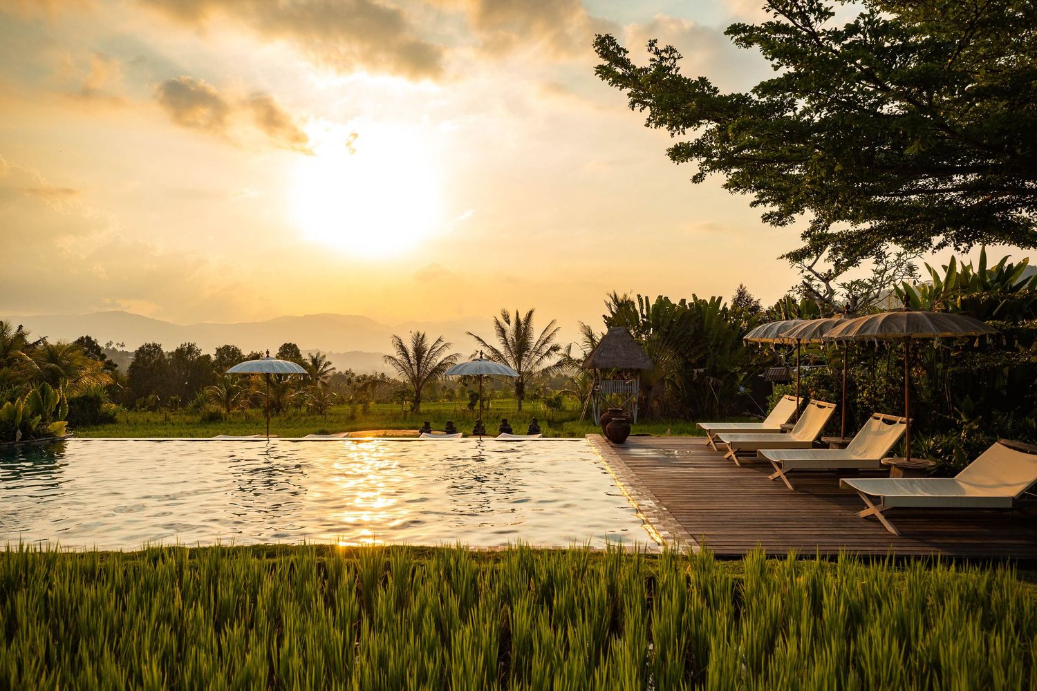 Golden sunset over tropical beach with palm trees and lounge chairs silhouetted against orange sky.