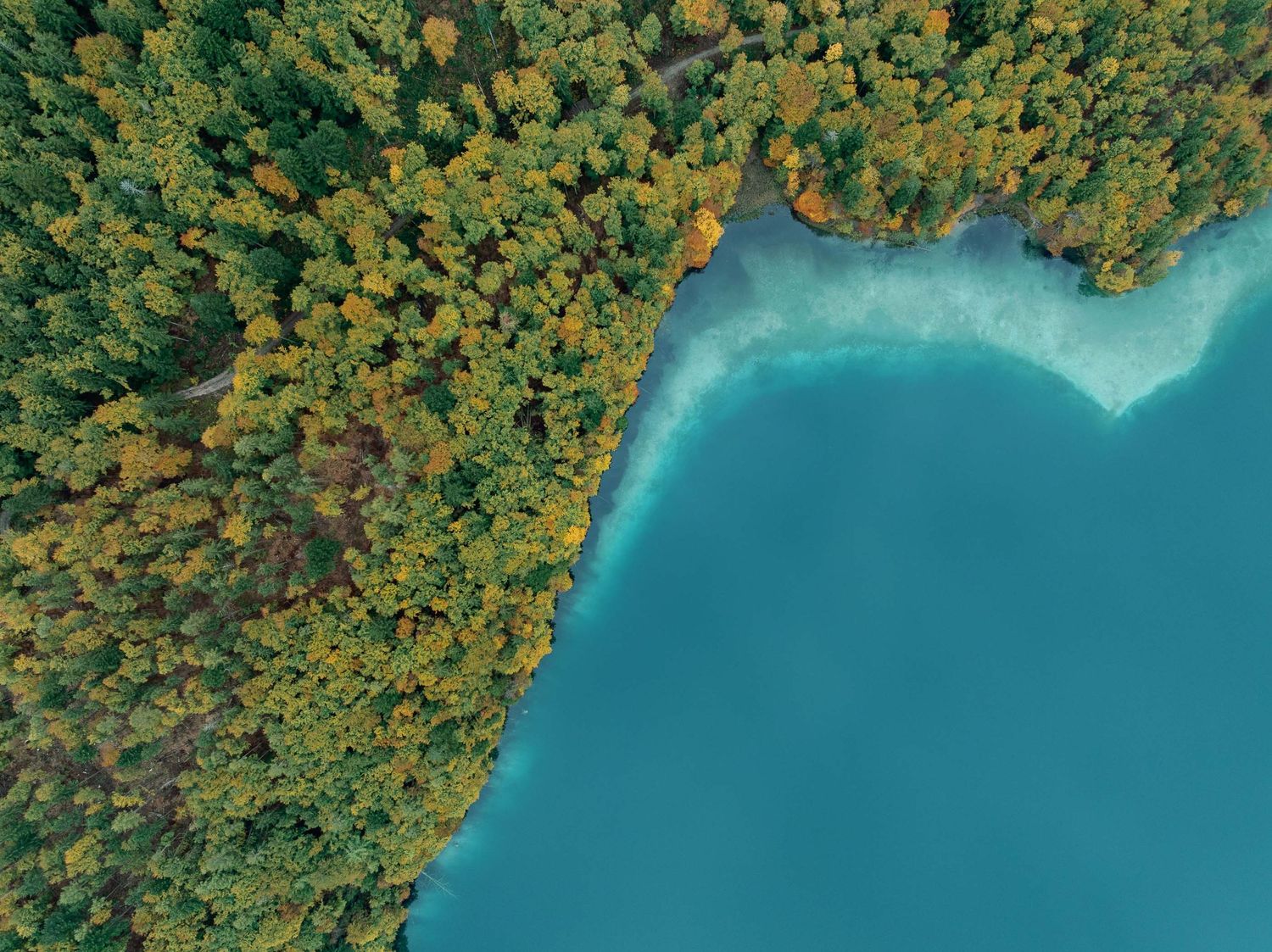 Aerial view of a turquoise lake bordered by a dense forest with autumn foliage in green and yellow tones.