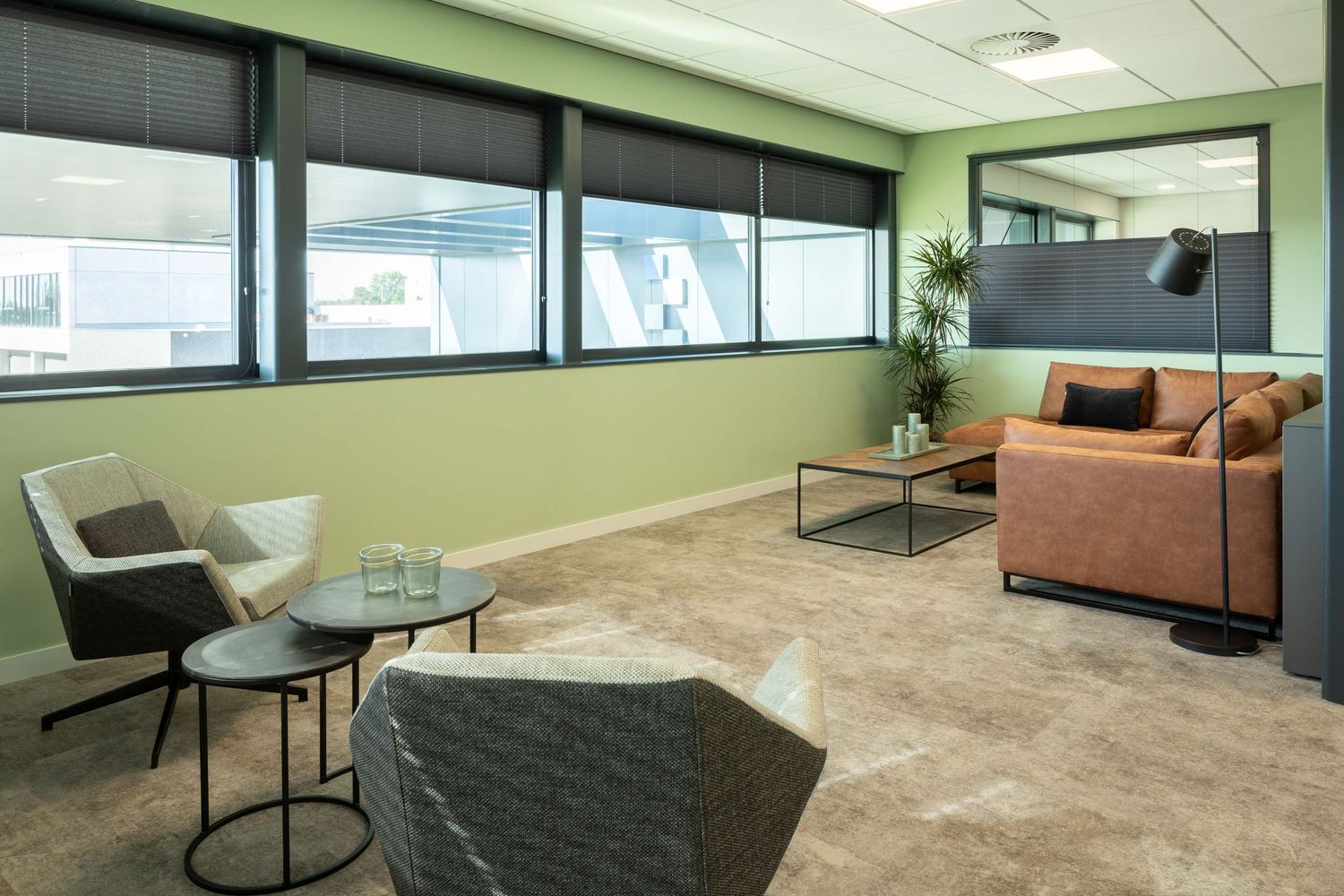 Modern office interior with beige carpeting, green walls, and large windows providing natural light.