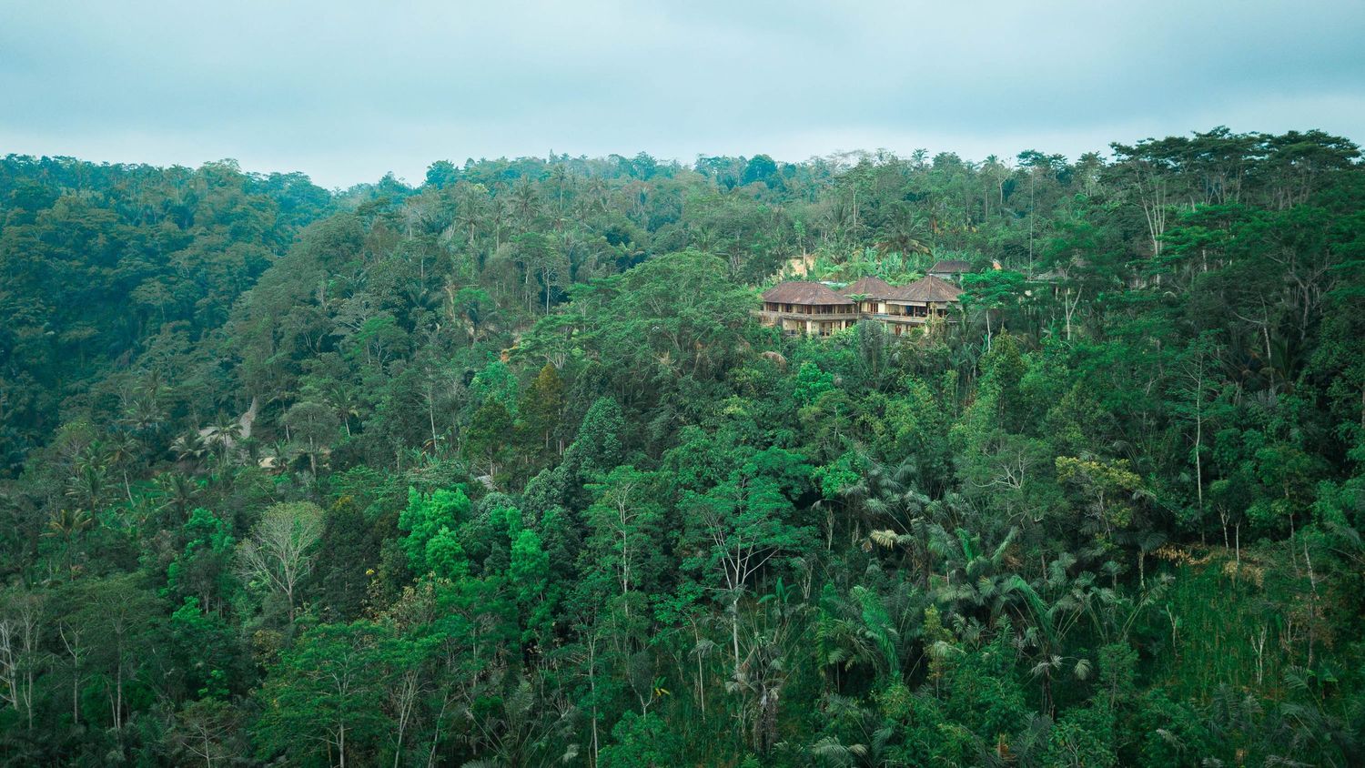 Panoramic view of lush green mountains and tropical forest landscape in morning light.