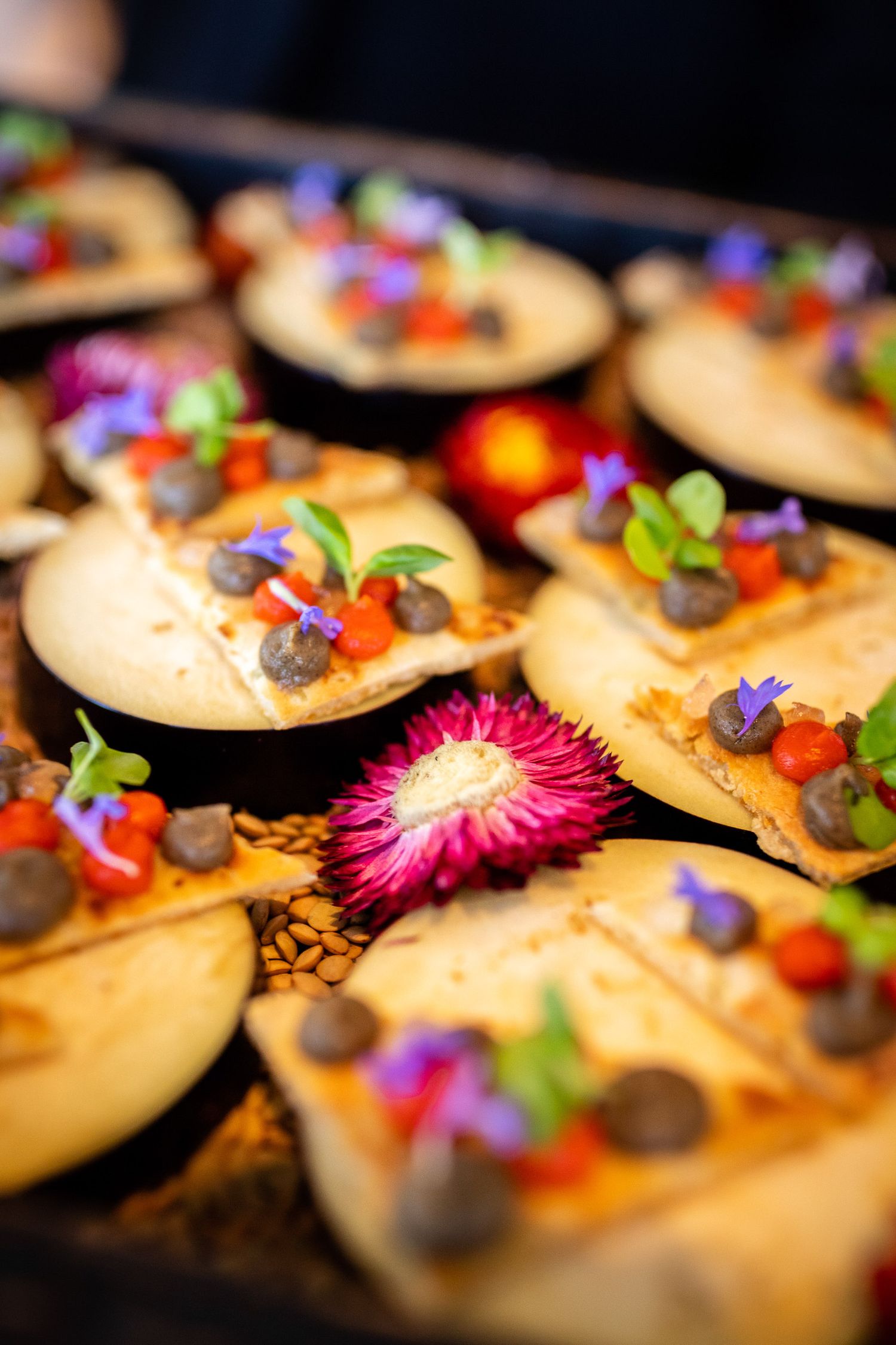 Decorative dessert plates garnished with colorful edible flowers, berries and chocolate accents.