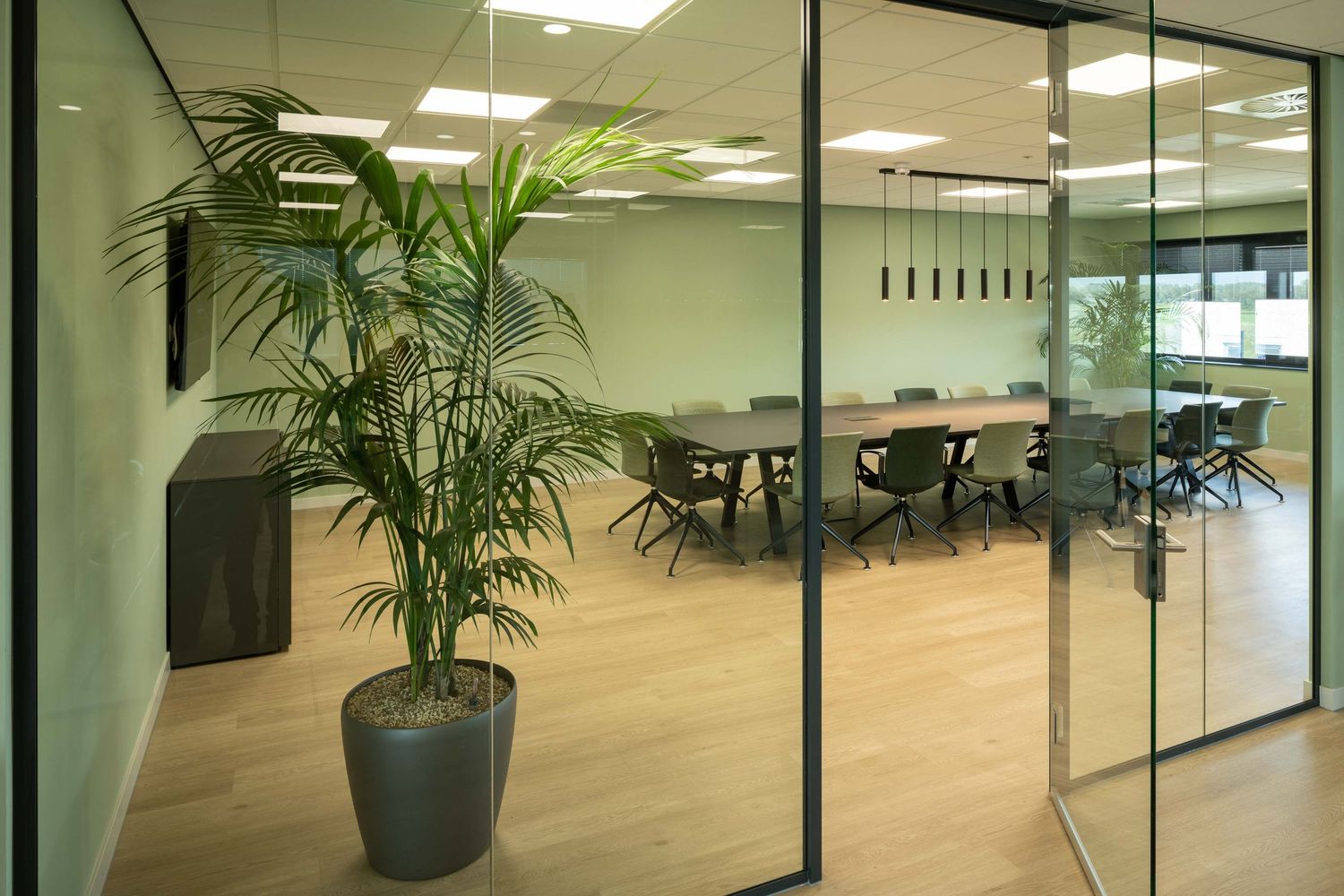 Modern office interior with glass walls, potted plants, and bright lighting creating a professional workspace atmosphere.