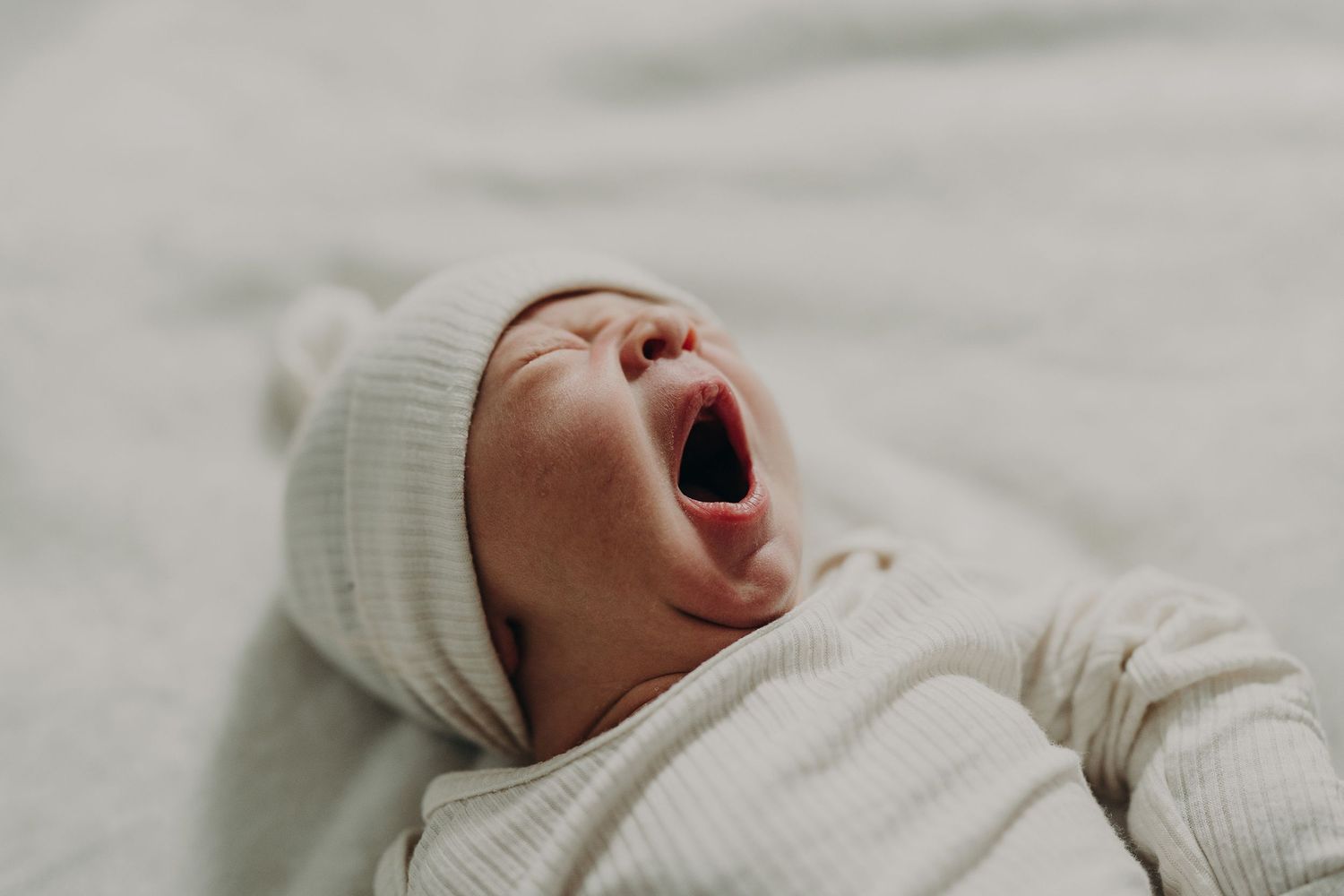 Fredericton, NB newborn photography