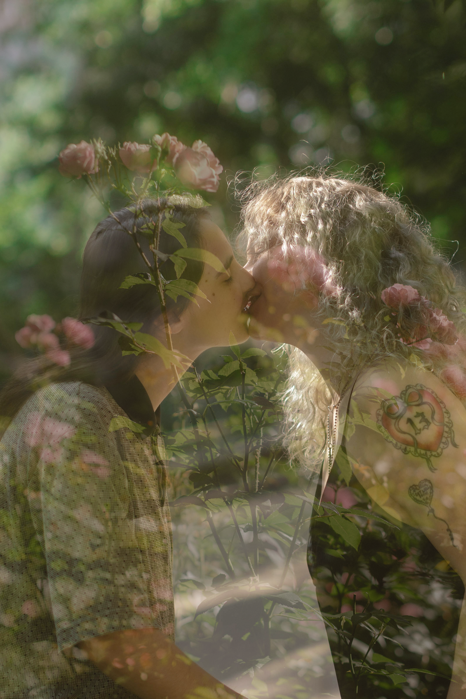 Double exposure photo of two people kissing surrounded by blooming pink roses and lush green foliage.