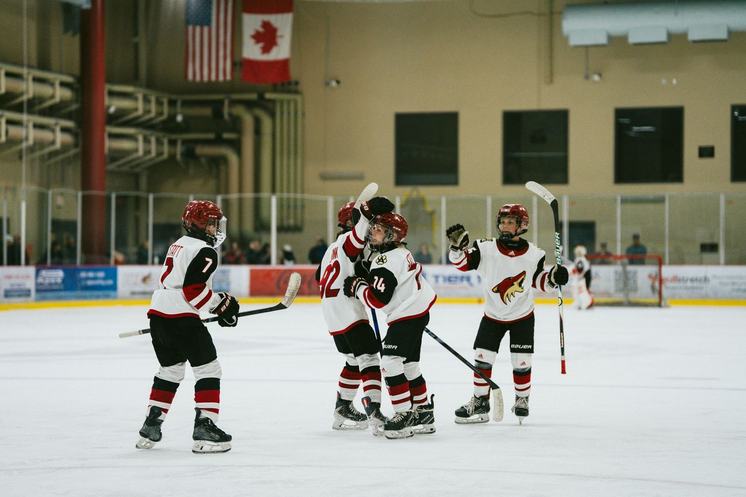 Wide shot of hockey players spread across the ice during a game with flags visible in the background.