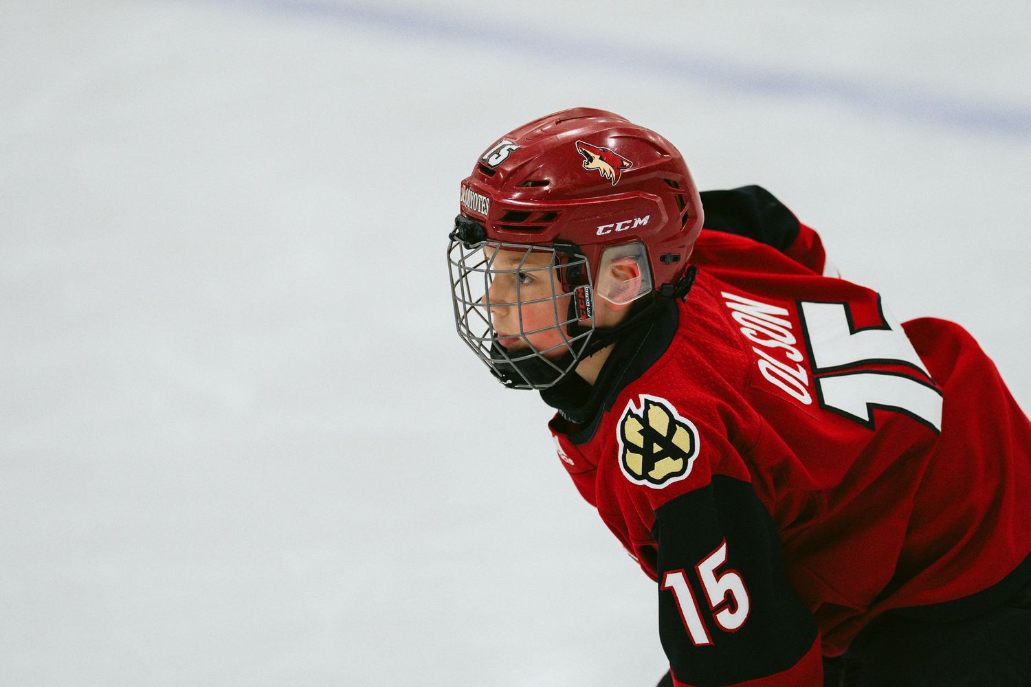 Players in red jerseys skating during competitive hockey match.