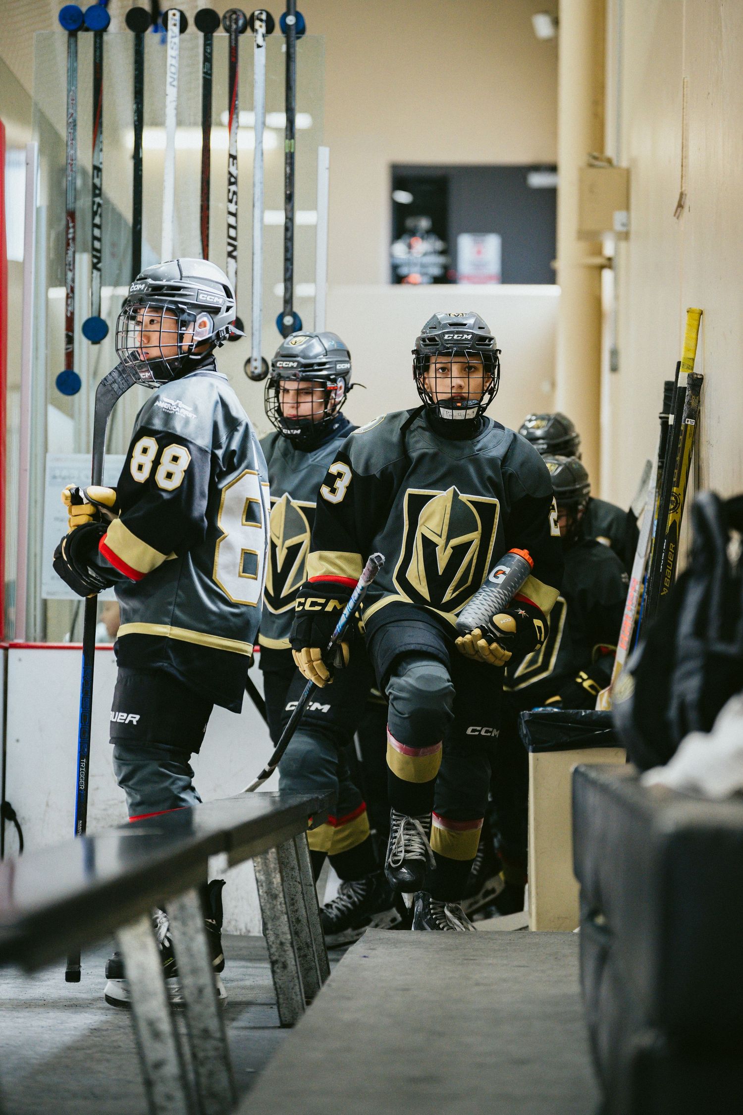 Hockey players in black and gold uniforms line up along the bench during a game.