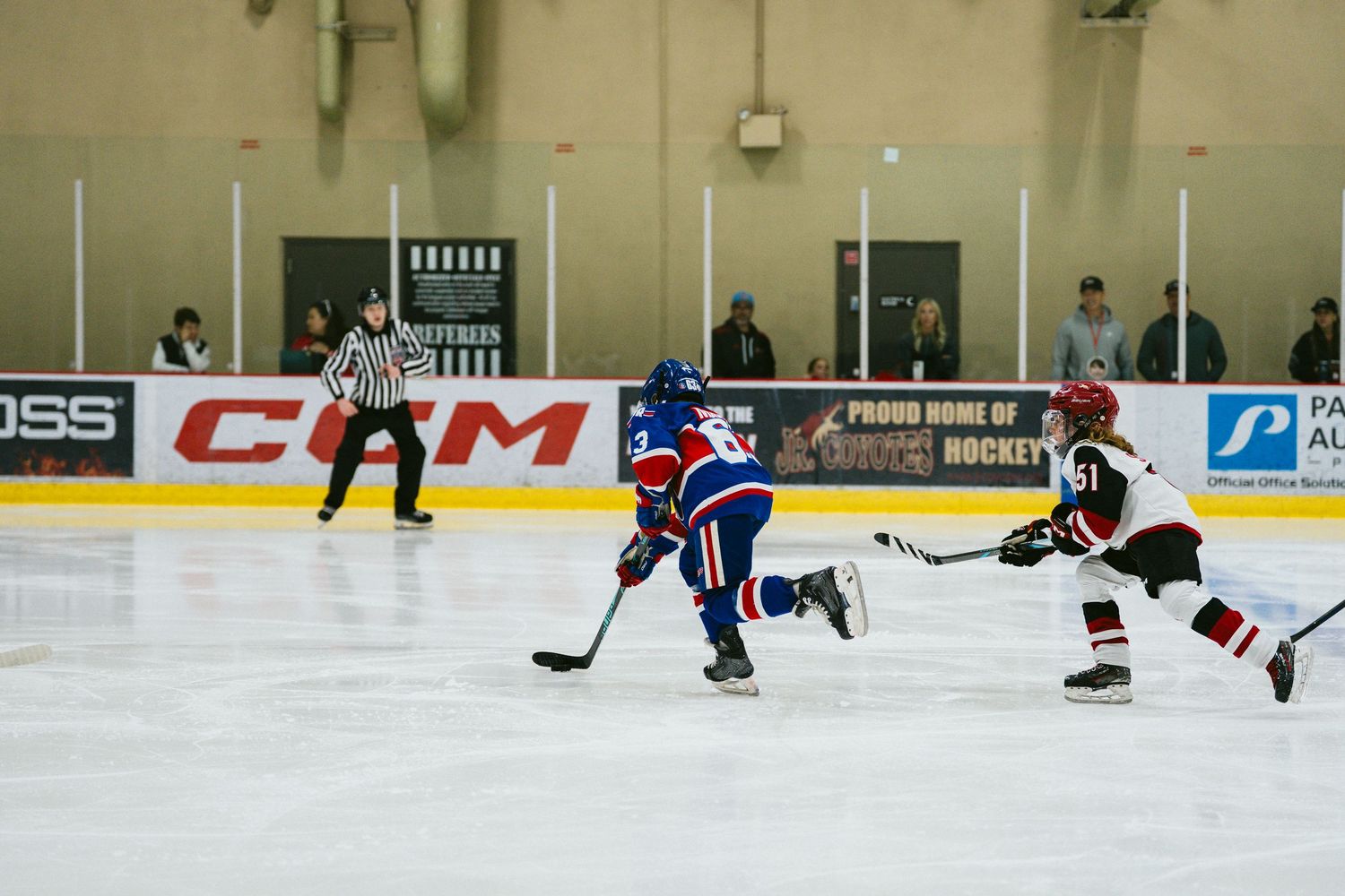 Hockey players compete on an indoor ice rink with advertisements visible along the boards during gameplay.