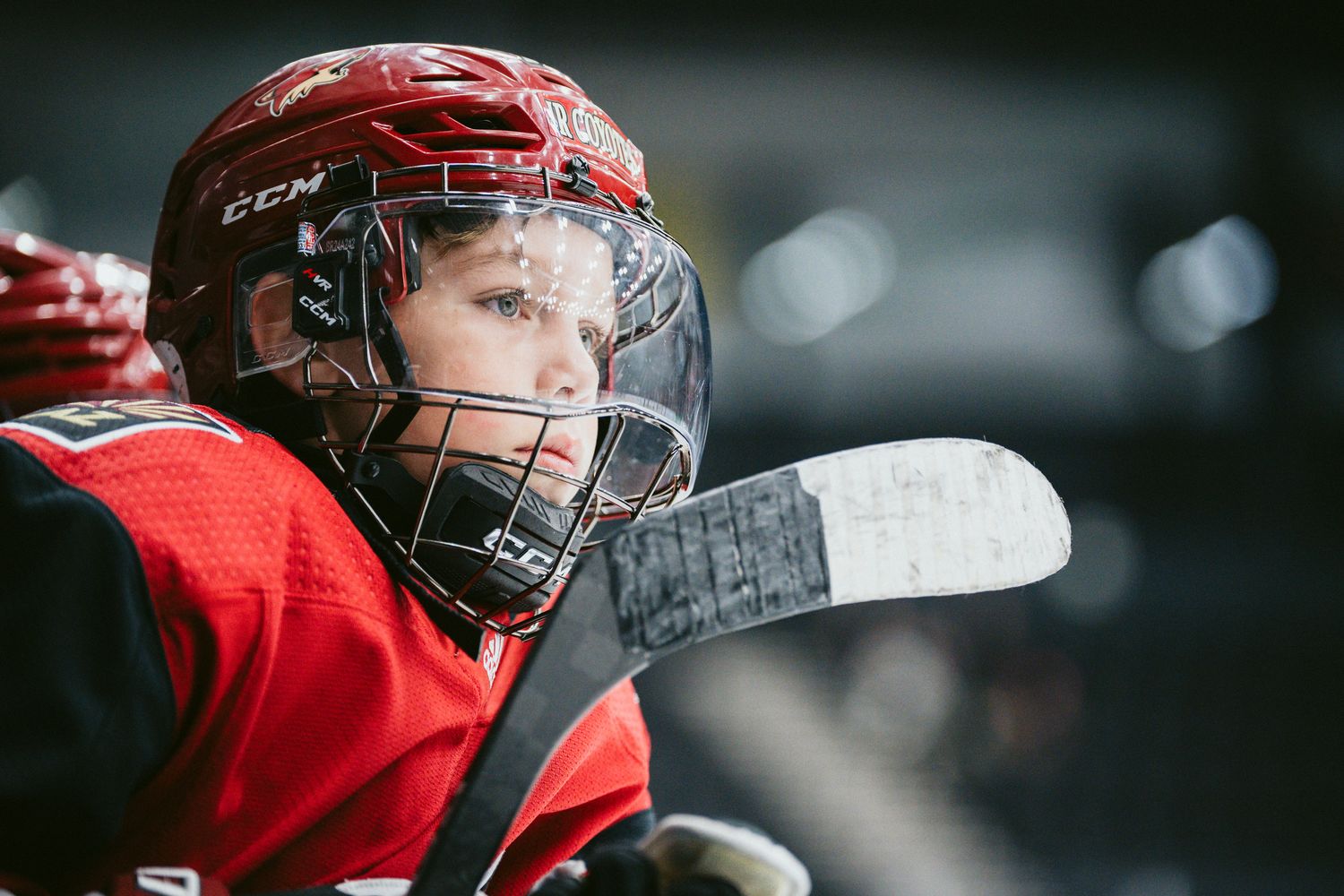 Hockey player in red jersey and protective helmet focuses intently during a game.