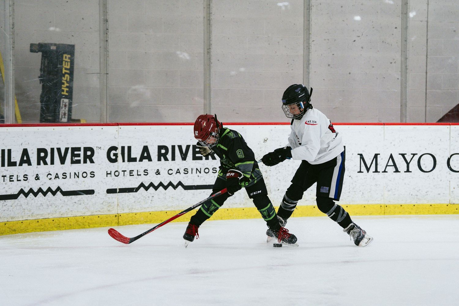 Two young ice hockey players compete for the puck near the boards during a youth hockey game.