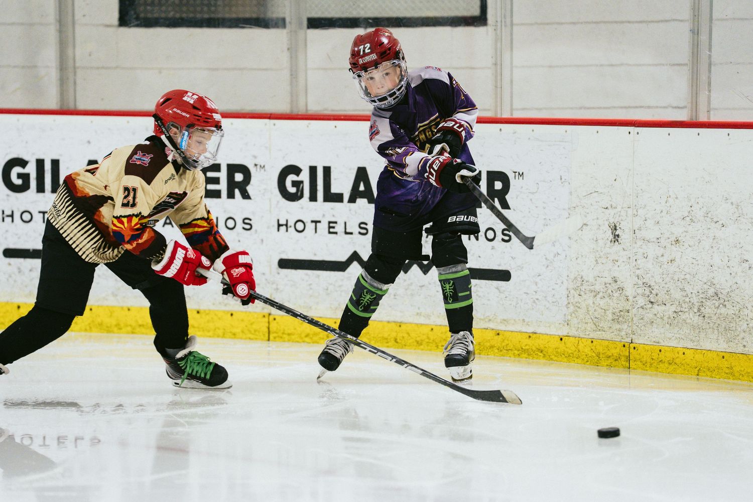 Two youth hockey players battle for the puck on ice, wearing gold and purple uniforms during a game.