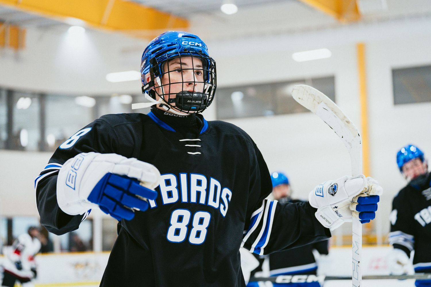 Young hockey player wearing number 88 Birds jersey and blue helmet holds a stick during a youth hockey game.