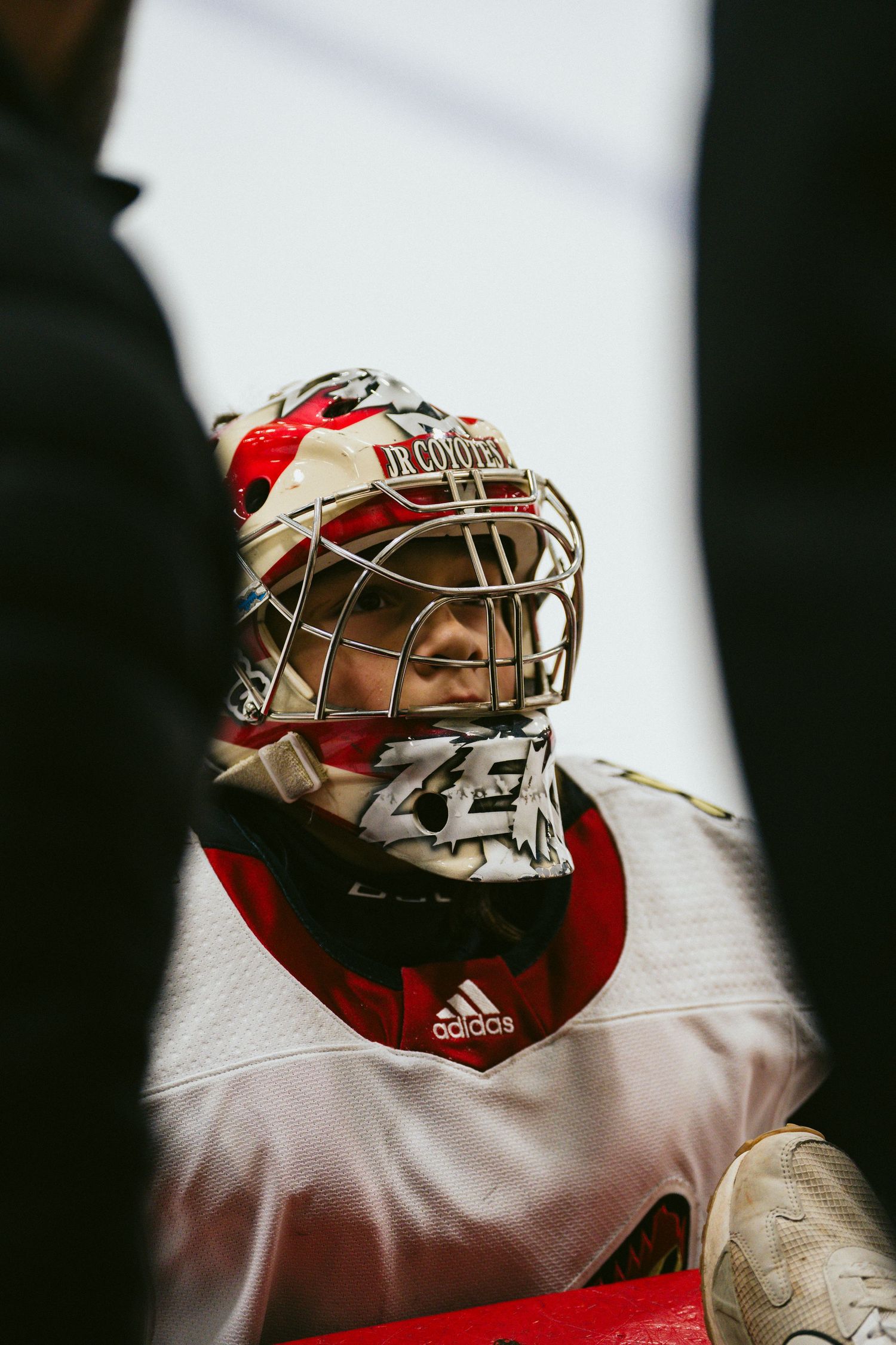 Hockey goalie wearing a white and red jersey with protective gear and mask during a game.
