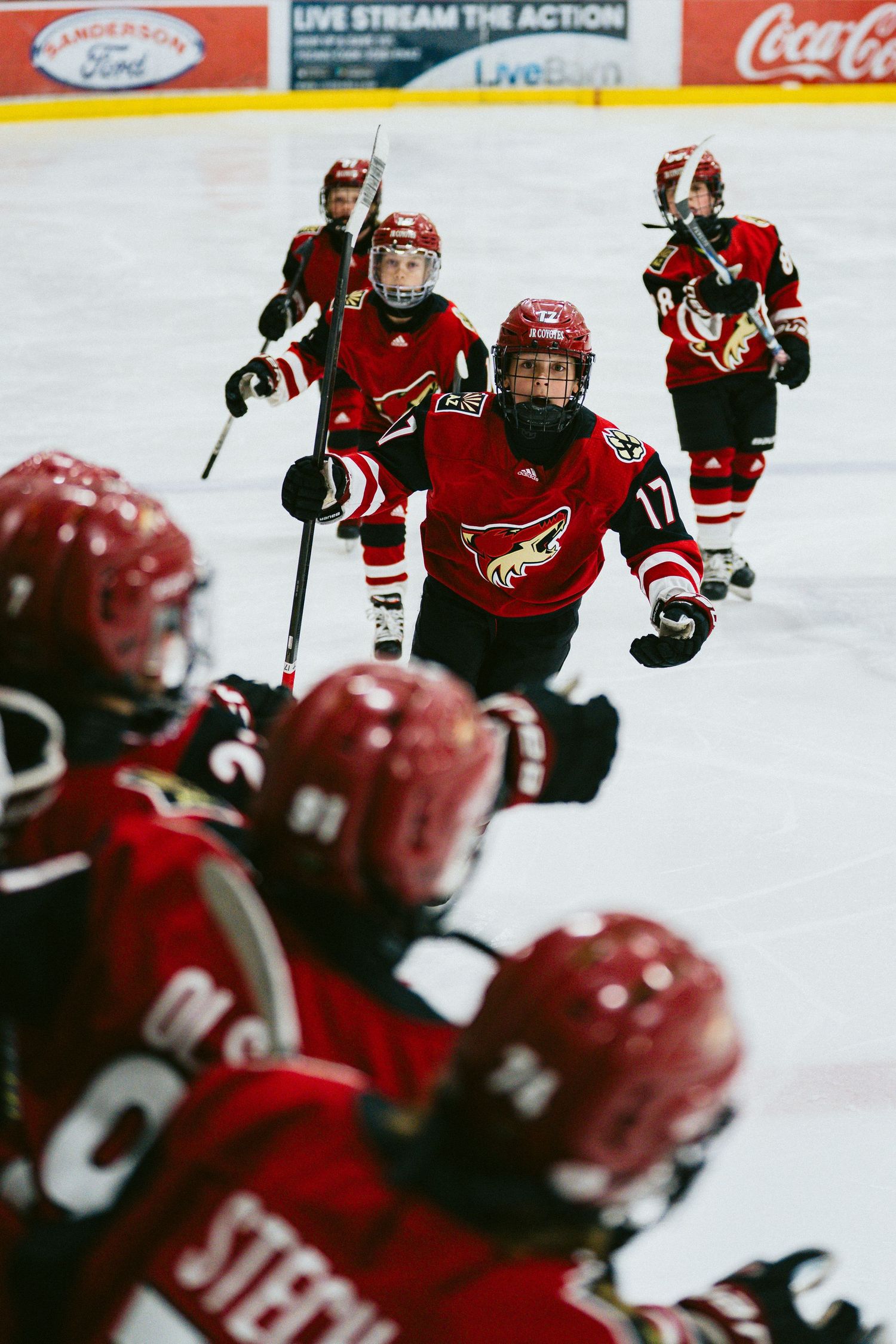 Hockey players in red jerseys skate on ice during an intense game moment.