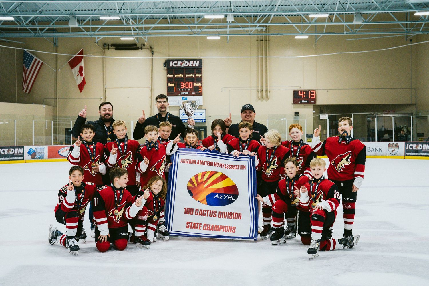Hockey team lined up along the boards with Arizona signage visible in the background.