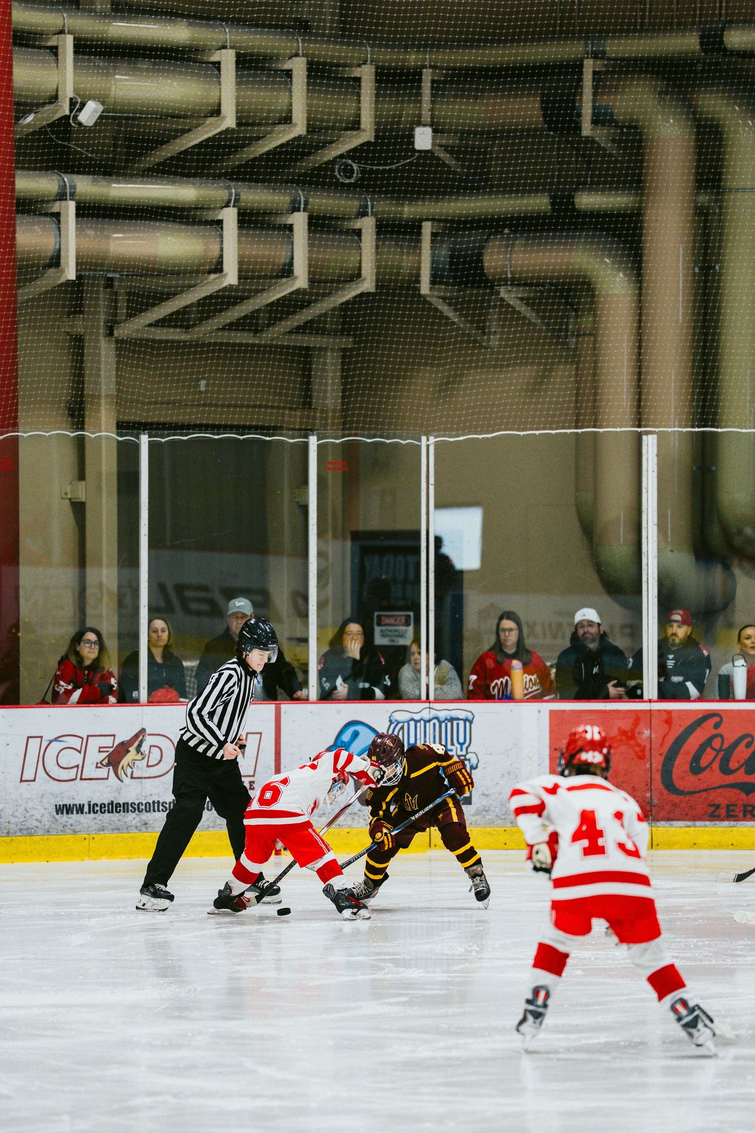 Youth hockey players in red and black uniforms compete on an indoor ice rink with advertisements visible on the boards.
