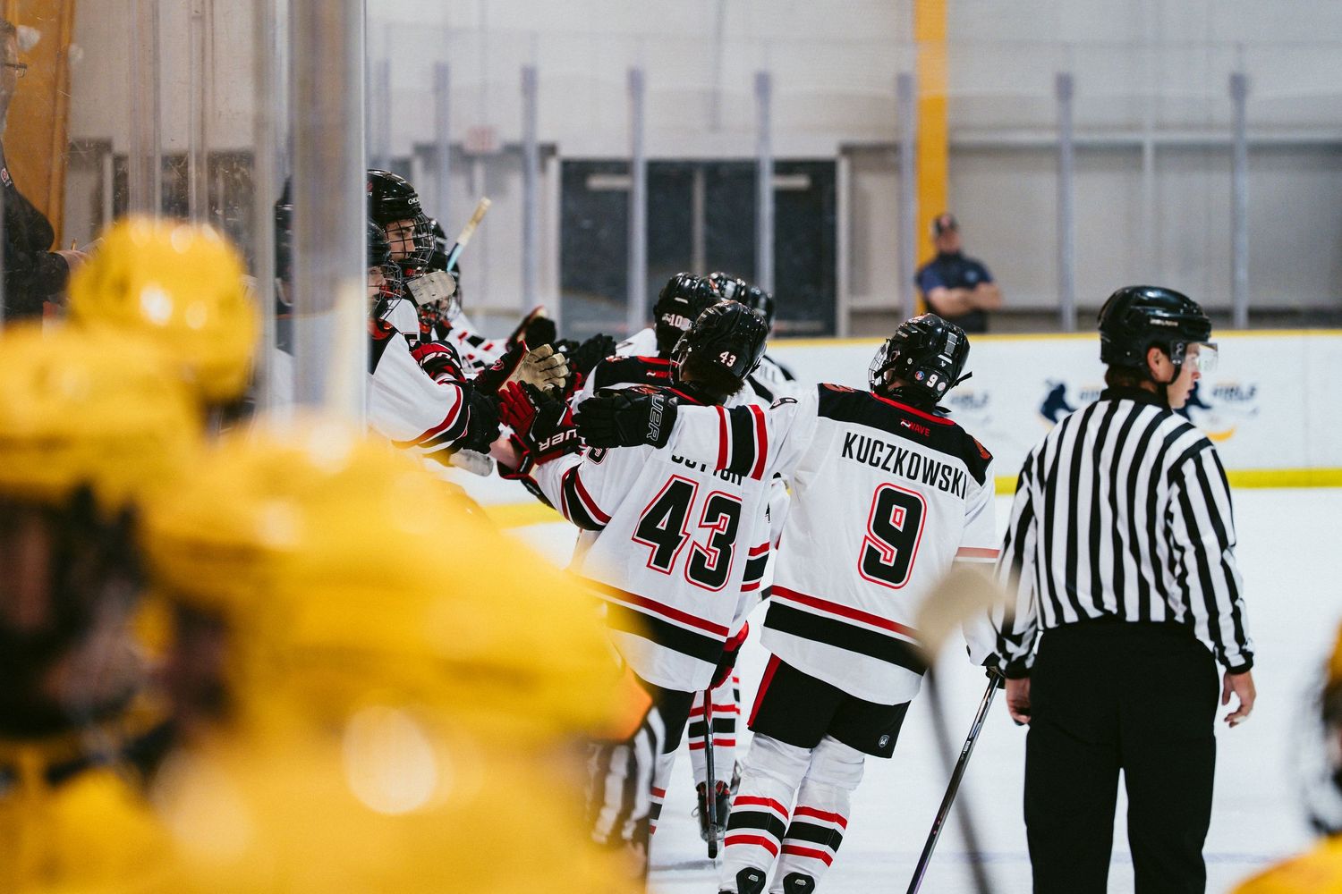 Hockey players in red and white jerseys celebrate a goal along the boards during an indoor ice hockey game.