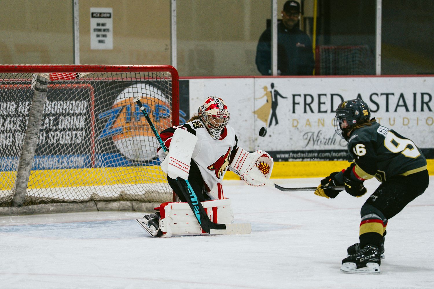 Hockey players compete intensely on the ice during a fast-paced game.