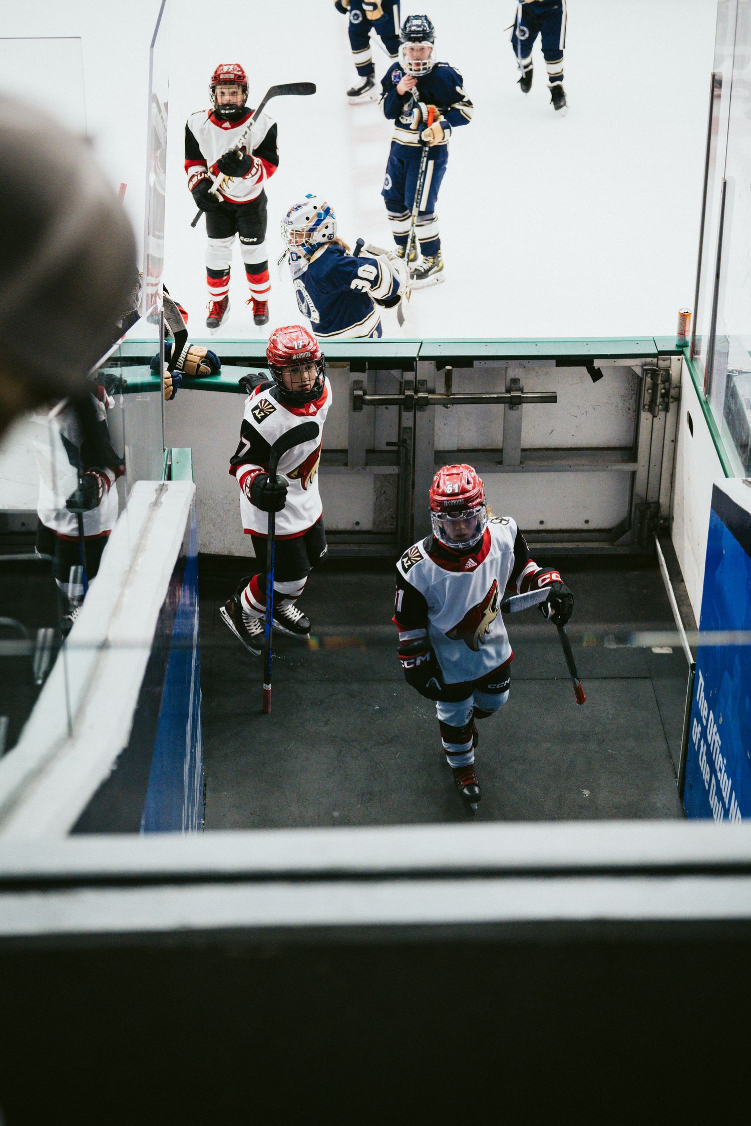 Aerial view of hockey players practicing drills on indoor rink.