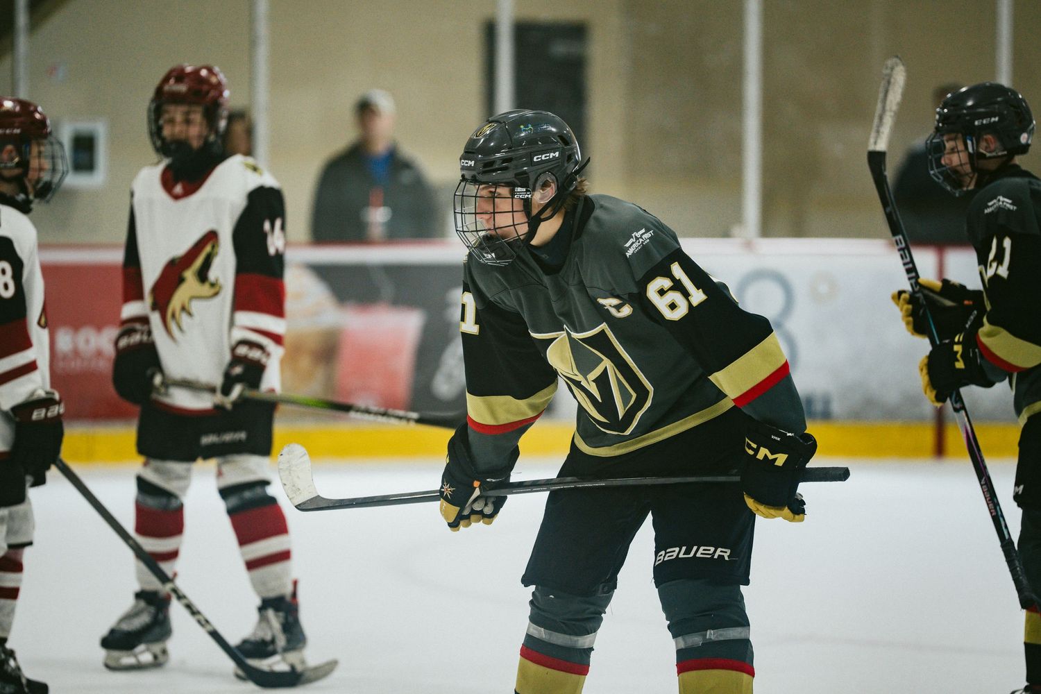 Players from opposing teams skate across the ice during a competitive hockey match.