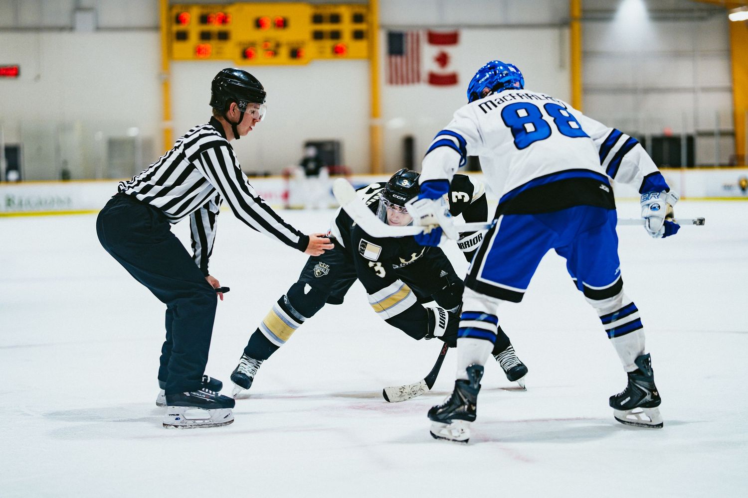 Hockey players face off on ice rink with referee overseeing the puck drop during a competitive game.