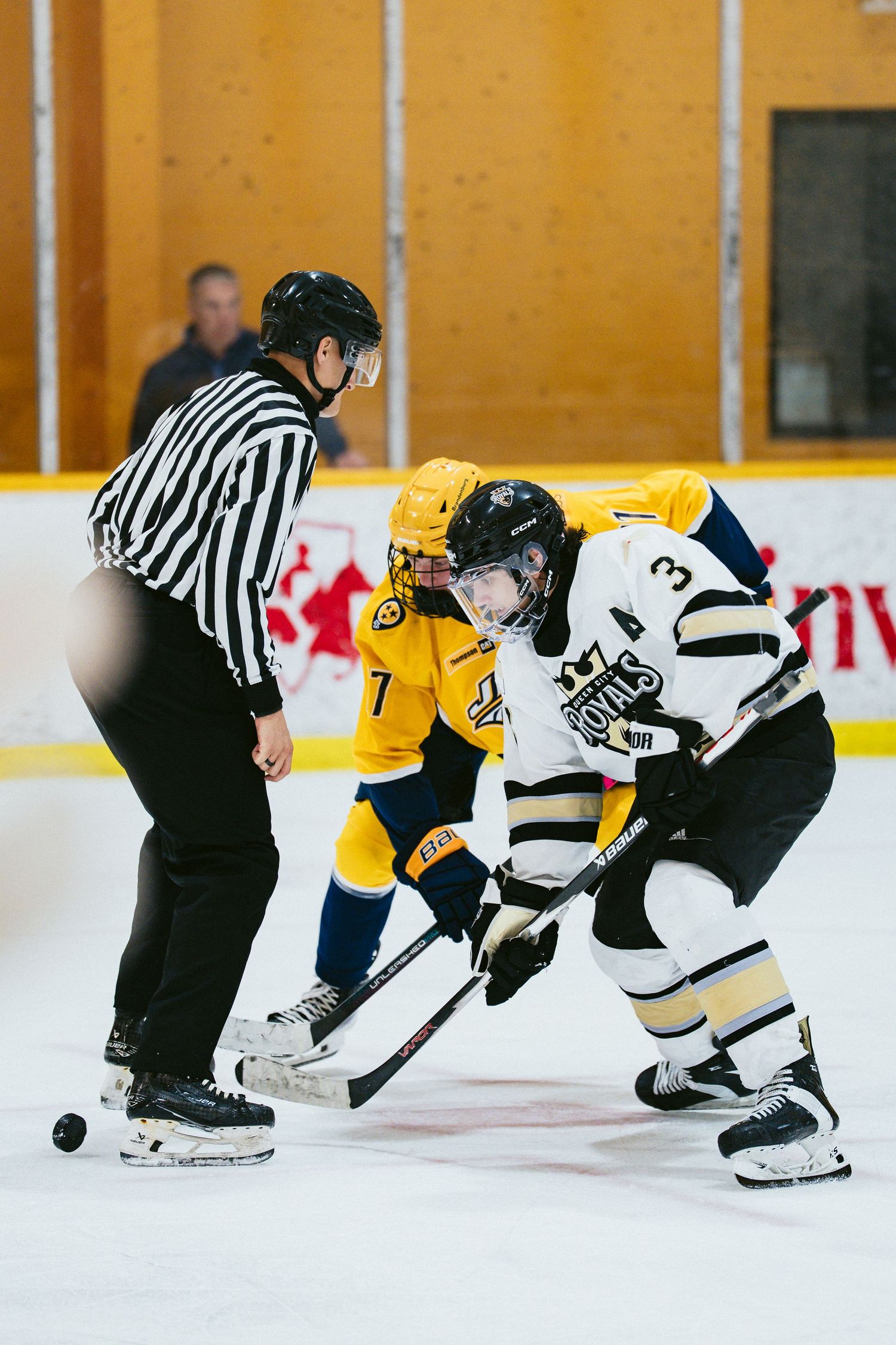 Ice hockey referee drops the puck for a faceoff between two players in yellow and black jerseys indoors.