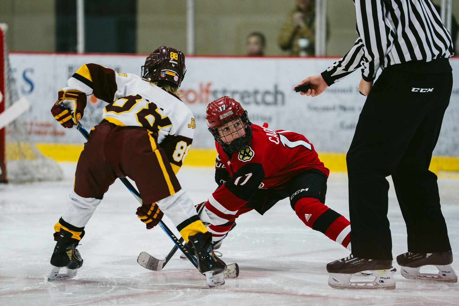 Hockey players face off on ice rink during competitive match with referee watching nearby.