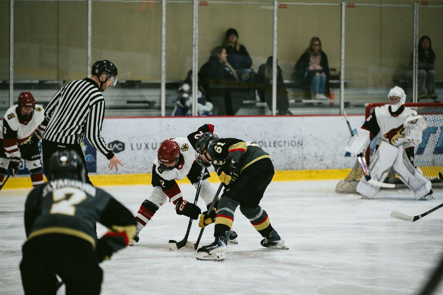 Ice hockey game action with players battling for the puck while referee watches.
