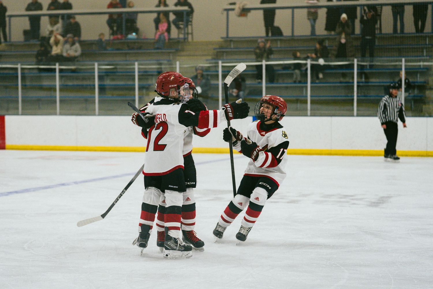 Youth hockey players compete during a game on indoor ice rink.