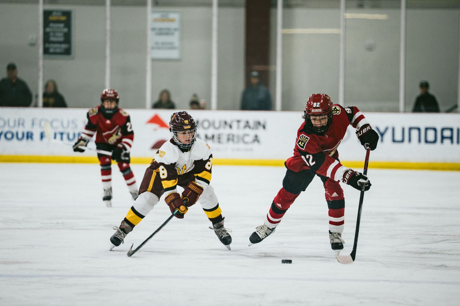 Hockey players compete for control of the puck during a fast-paced game on the rink.