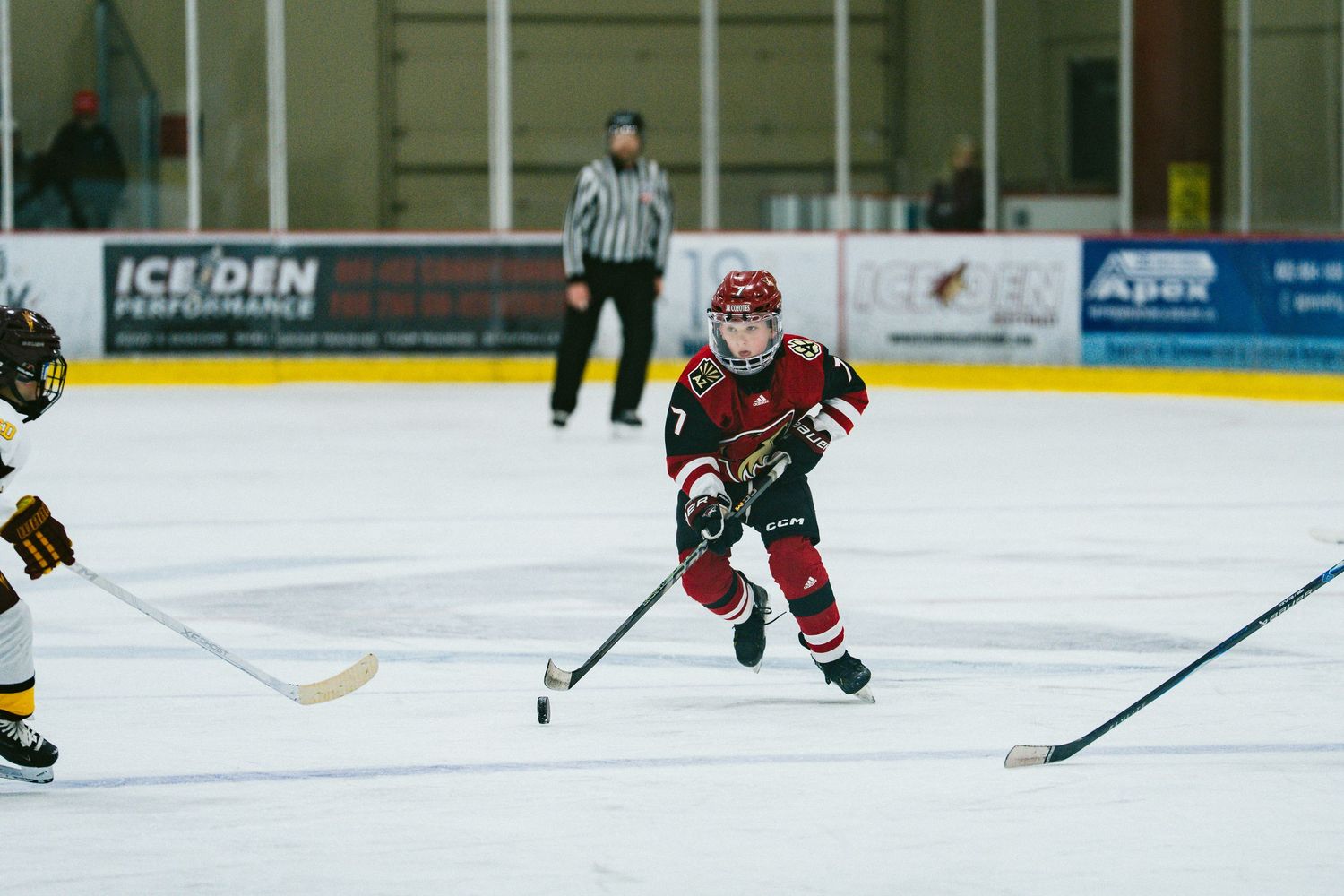 Hockey players on the ice during a game with advertisements visible on the arena boards in the background.