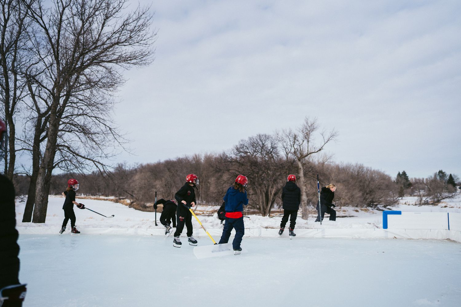 Hockey players enjoying a casual game on a snowy outdoor rink surrounded by bare winter trees.