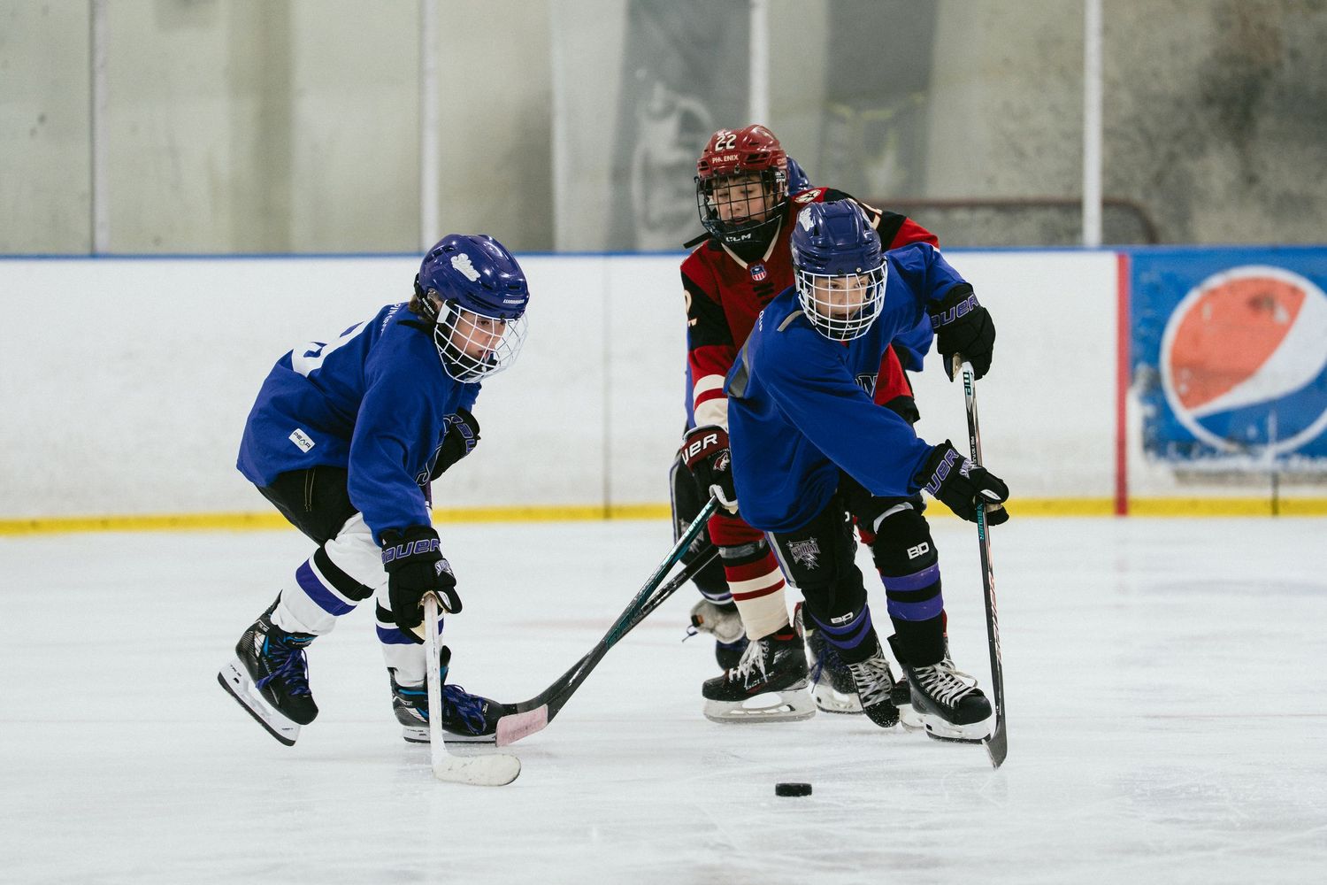 Young hockey players in blue and red uniforms compete for the puck on an indoor ice rink during a youth hockey game.