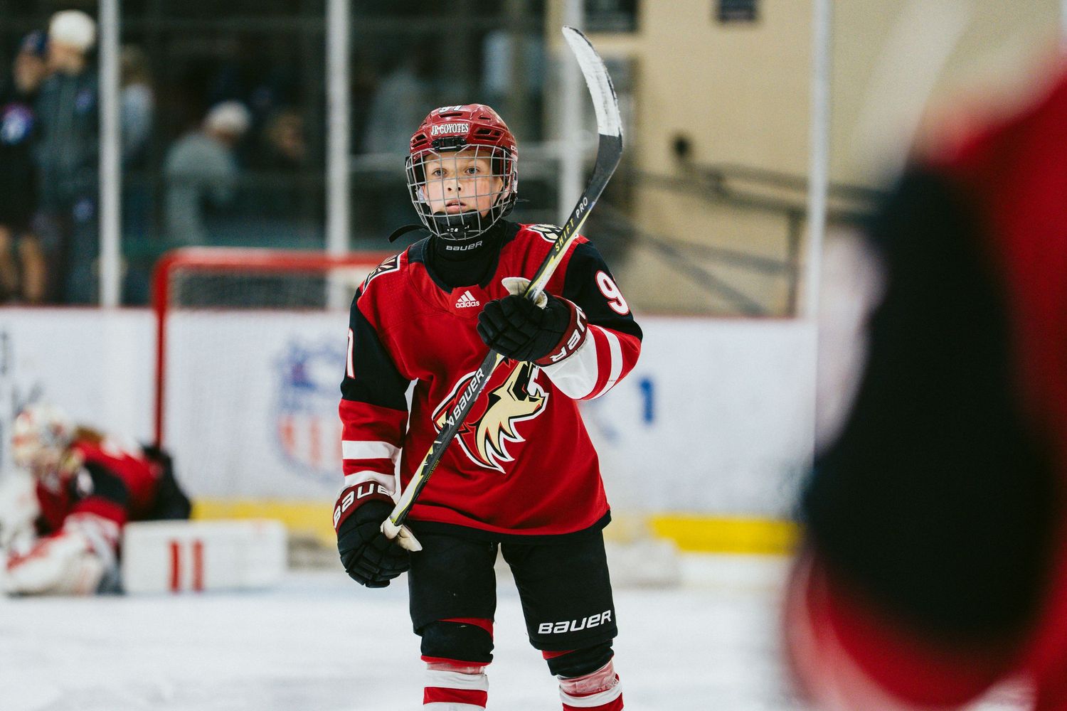 Young hockey player in red jersey raises their stick during an ice hockey game.