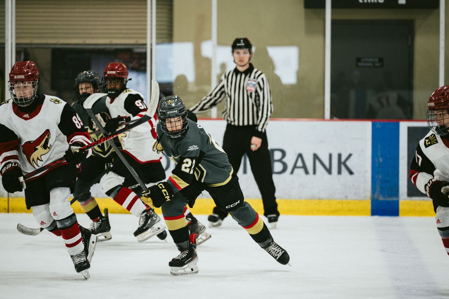 Hockey players from opposing teams battle for the puck during an intense game on the ice.