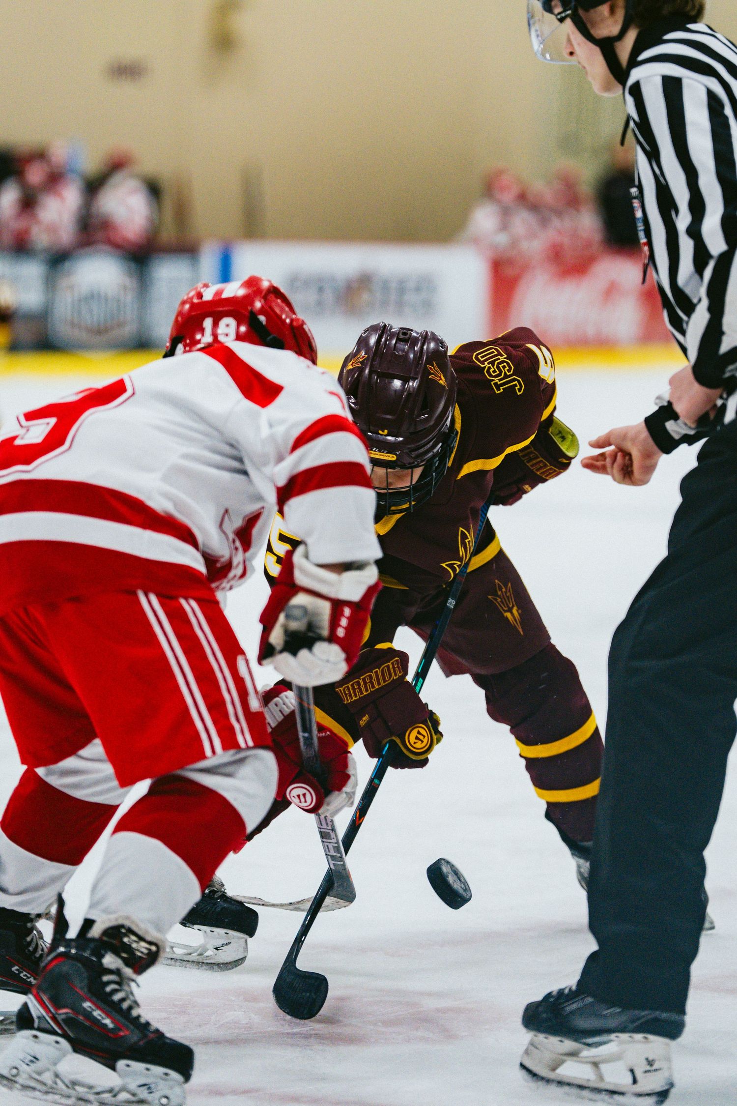 Close-up of hockey players battling for puck possession during face-off.