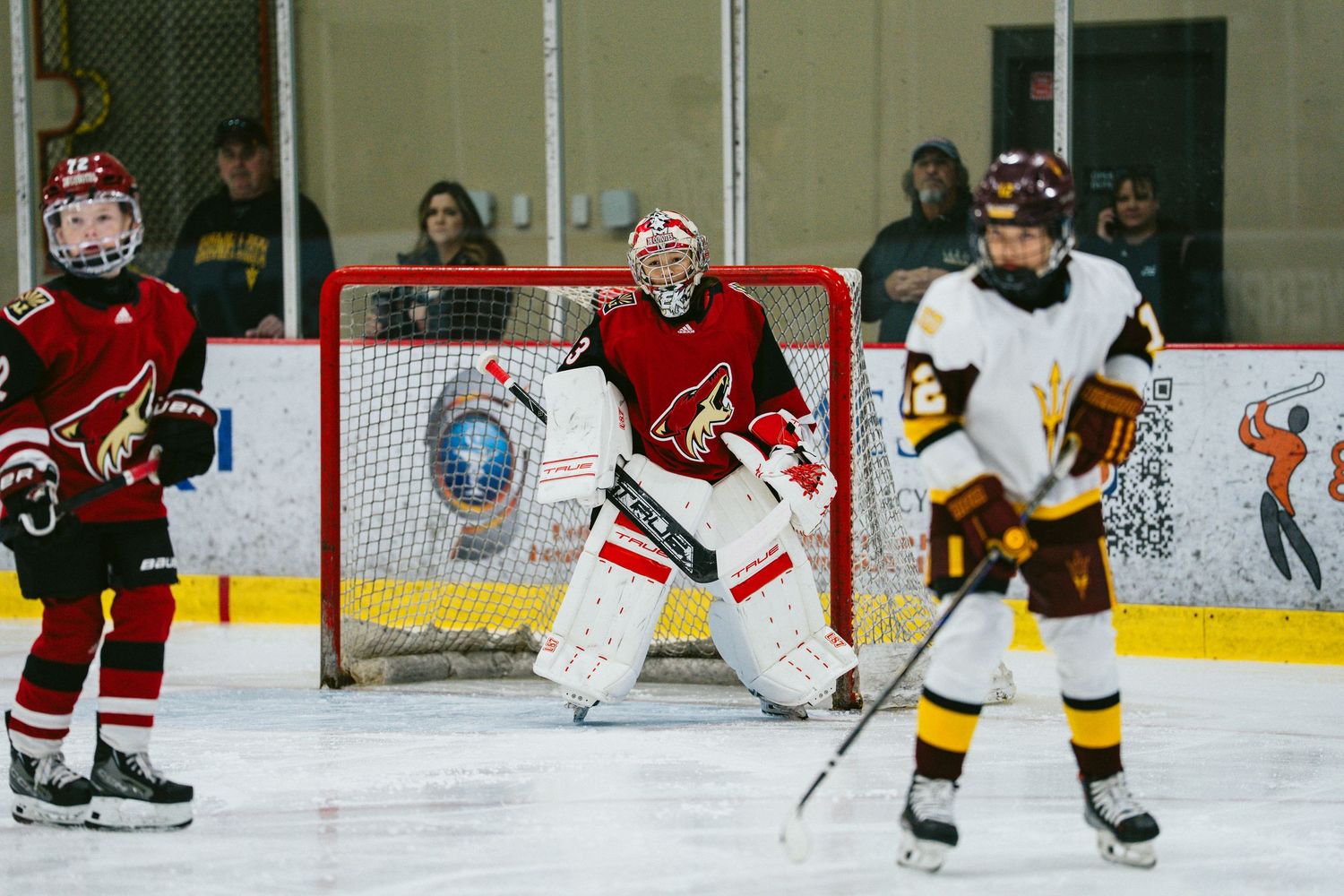 Hockey players compete on an ice rink with a goalie defending the net during a game.