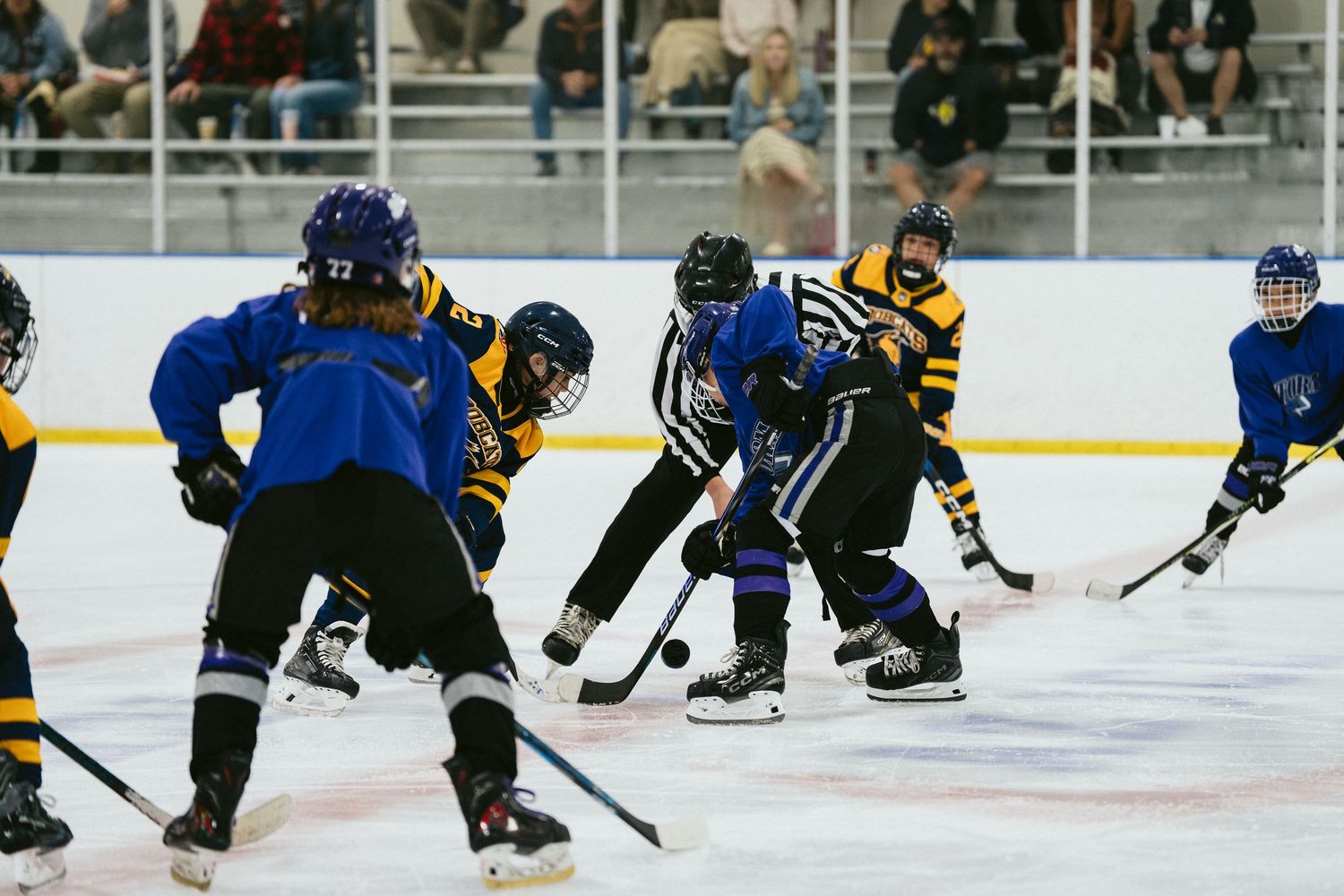 Youth ice hockey players compete in a face-off during an indoor rink game, wearing blue and yellow team jerseys.
